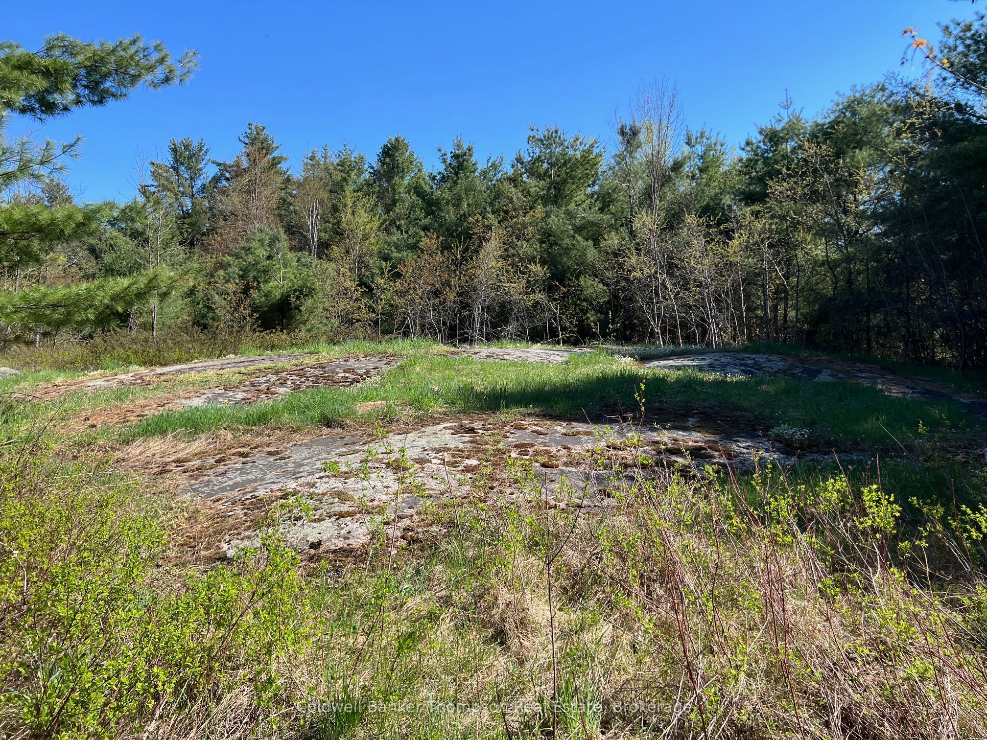 1513 Fairgrounds Road, Ramara, ON L0K 2B0 photo 3