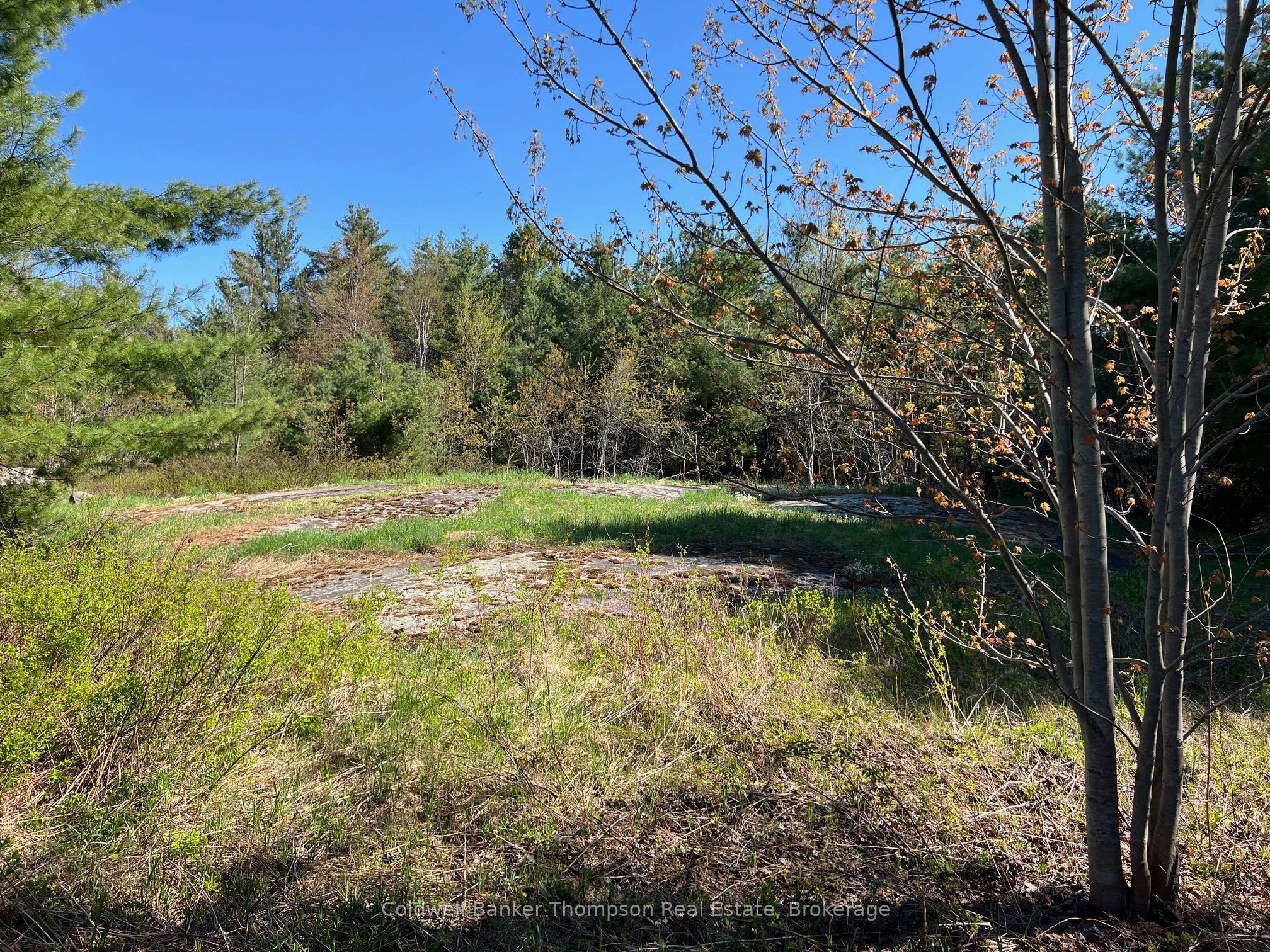 1513 Fairgrounds Road, Ramara, ON L0K 2B0 photo 4