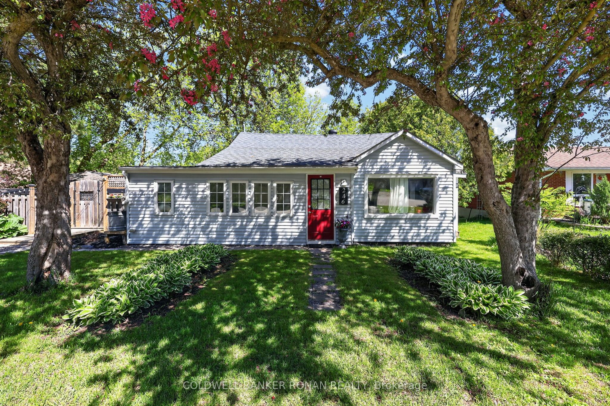 246 Weir Street, Clearview, ON L0M 1S0 photo 3