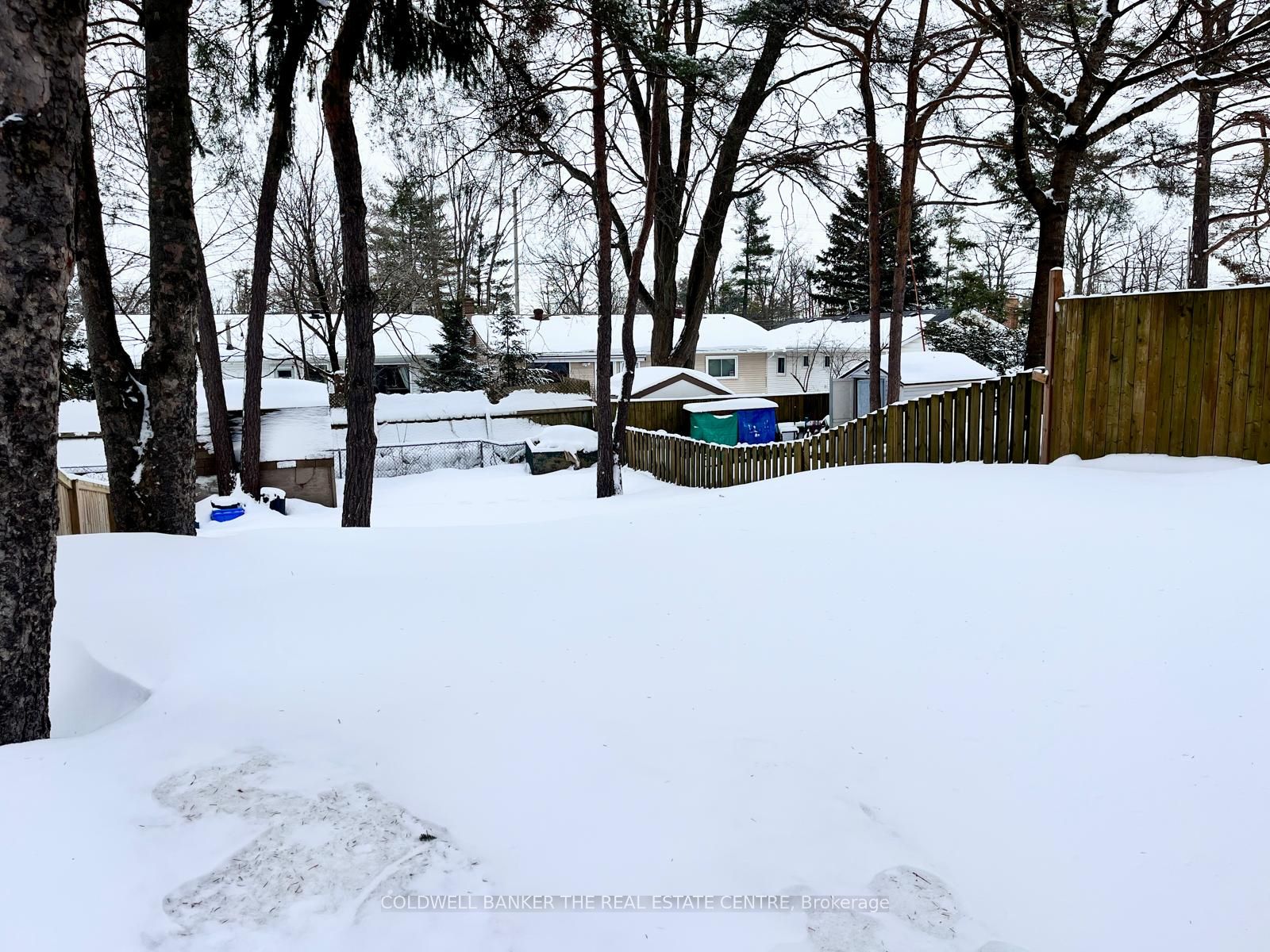 11 Chaucer Crescent, Barrie, ON L4N 4T8 photo 3