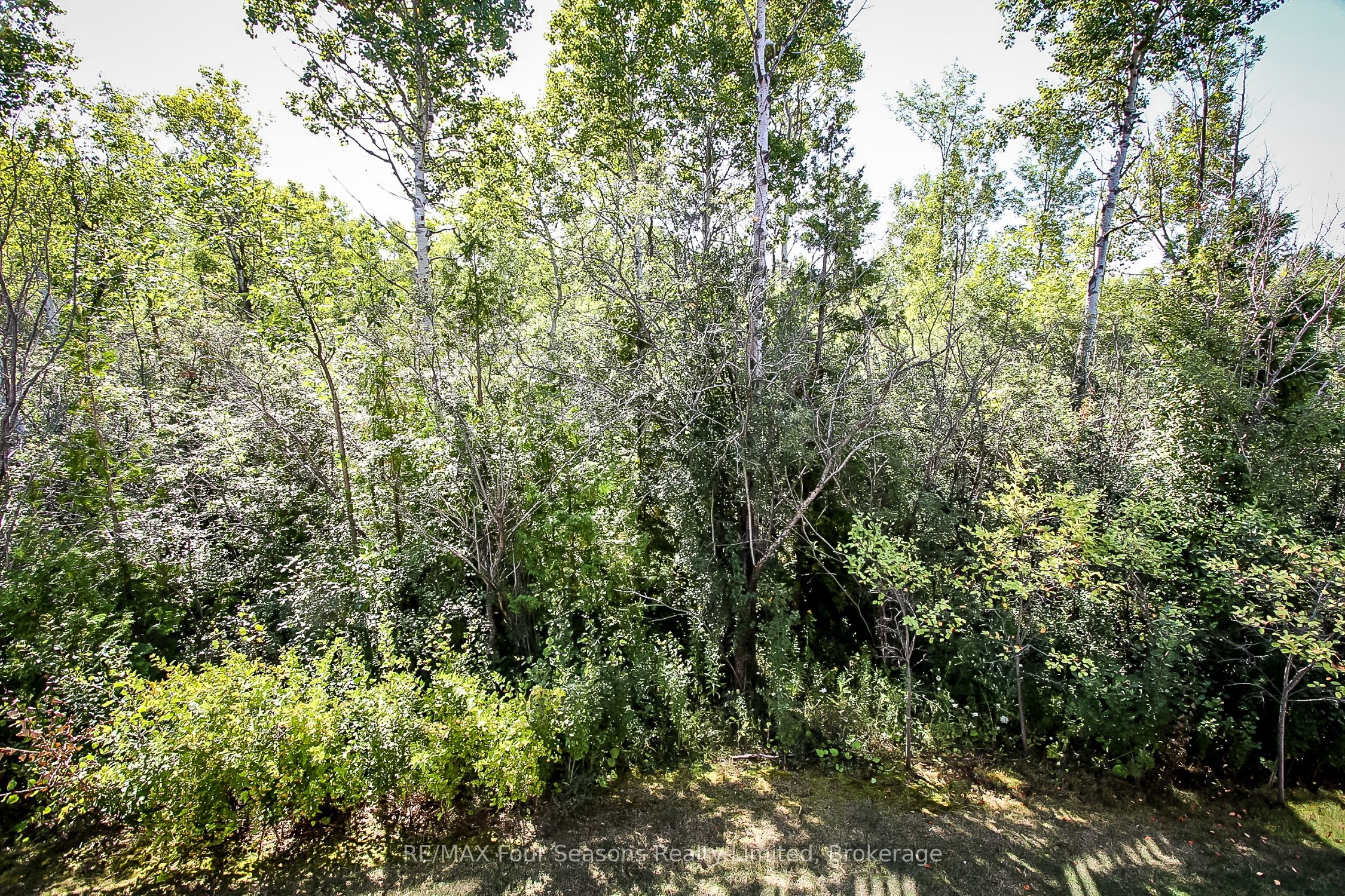 12 Robbie Way, Collingwood, ON L9Y 0X5 photo 5