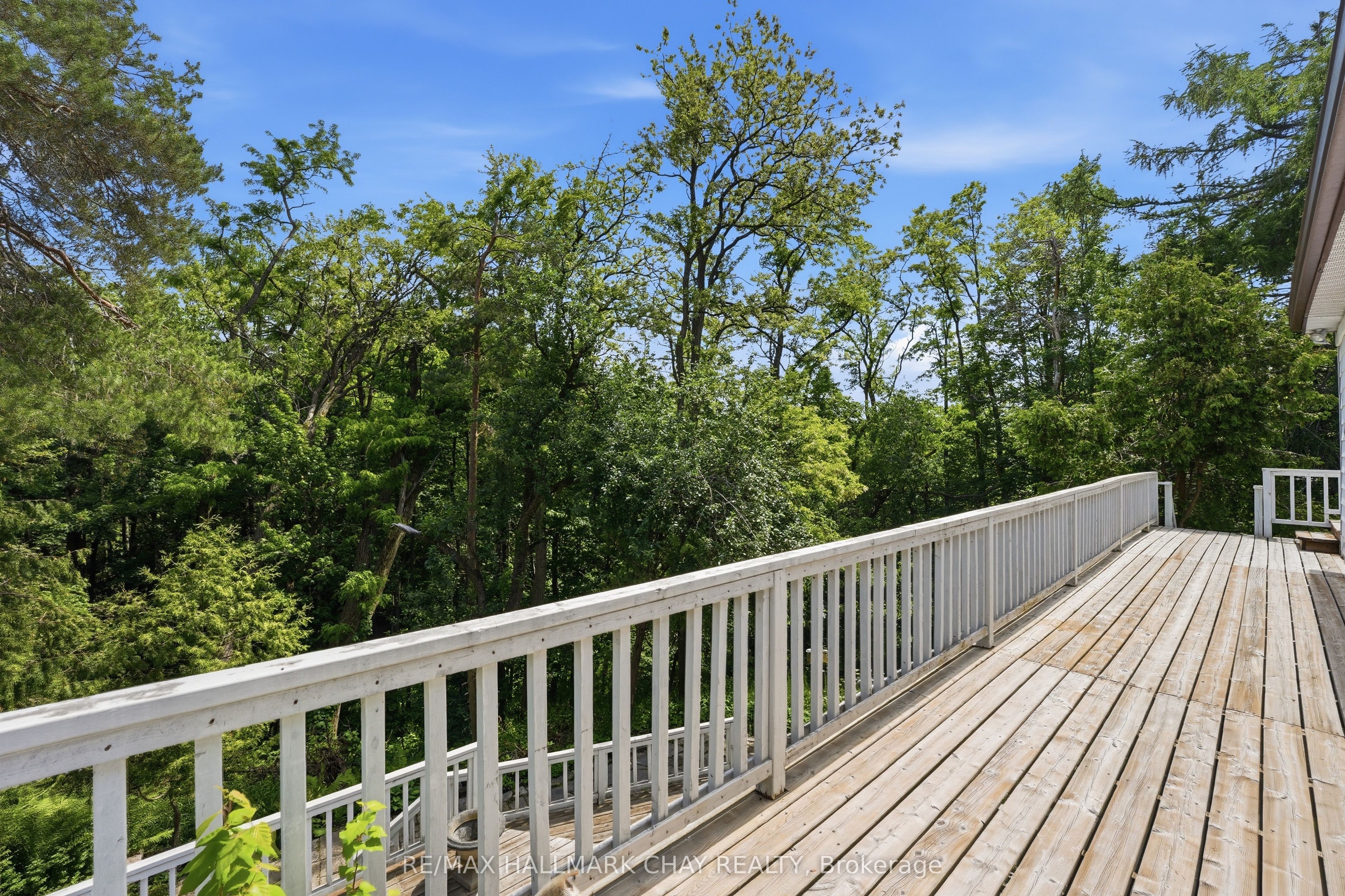 115 Doran Road, Springwater, ON L9X 1L5 photo 5