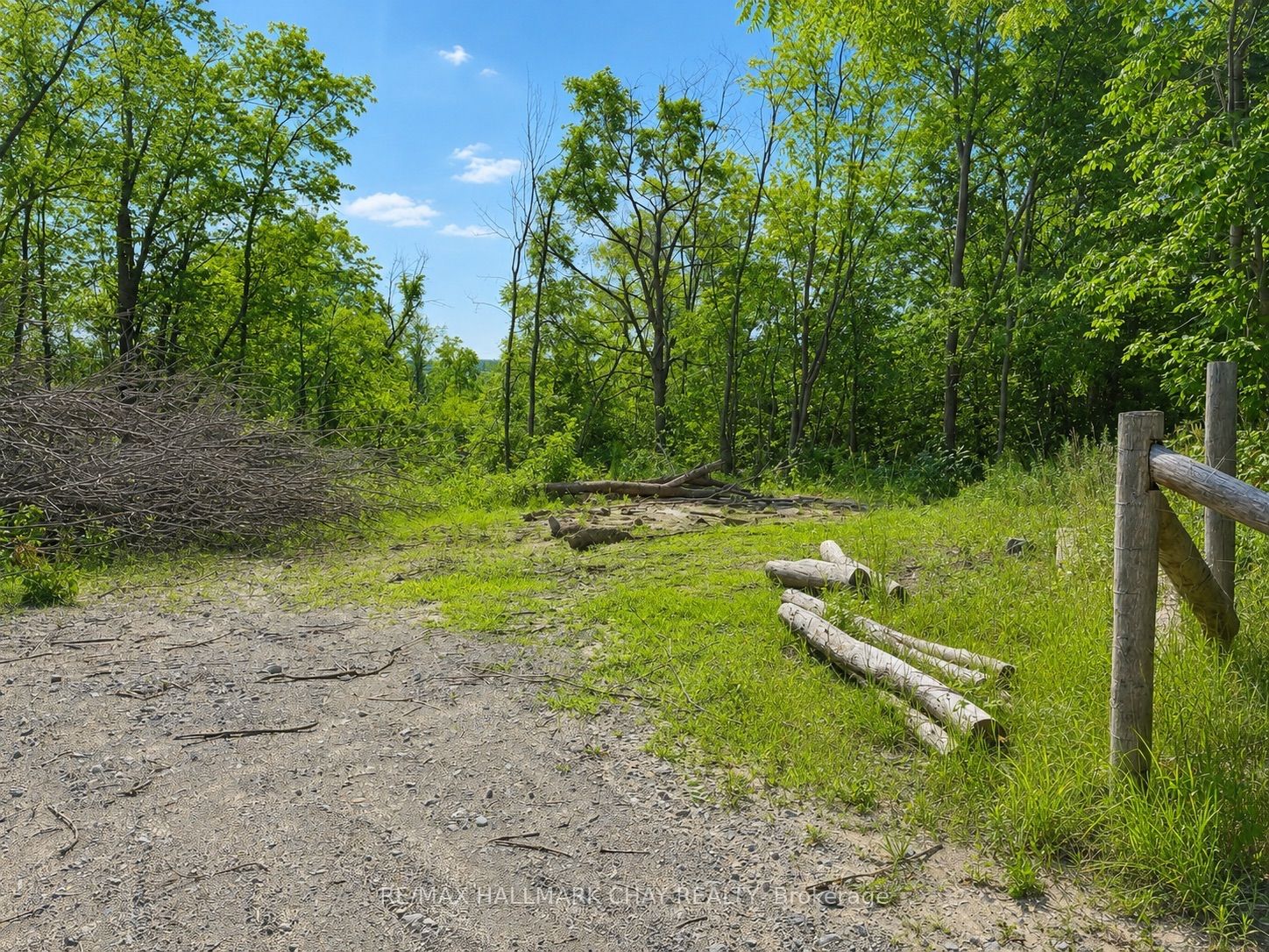 241 Mountain Avenue, Tay, ON L0K 2C0 photo 3
