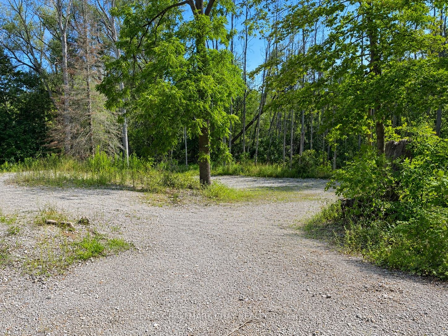 241 Mountain Avenue, Tay, ON L0K 2C0 photo 4