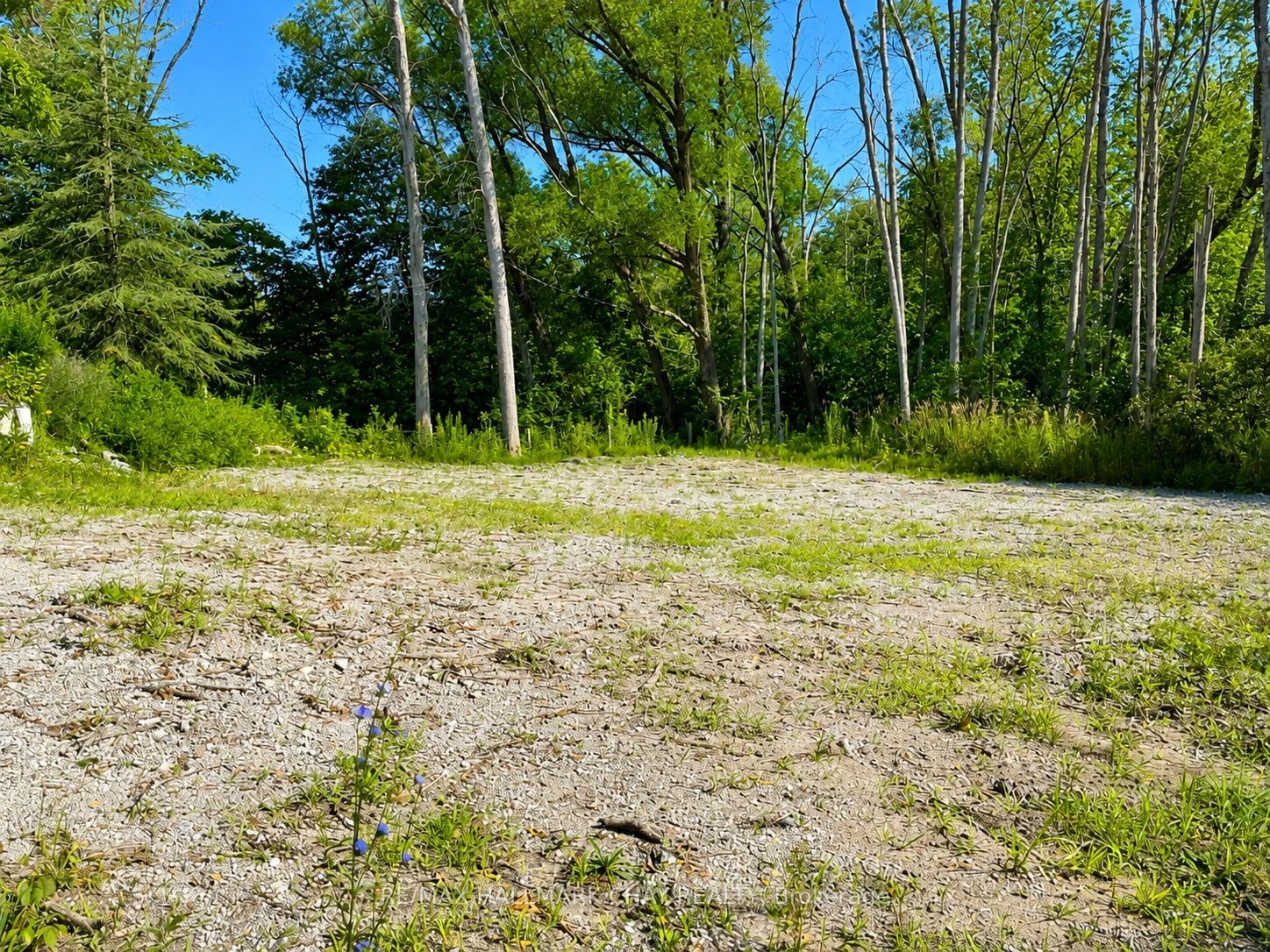 241 Mountain Avenue, Tay, ON L0K 2C0 photo 5