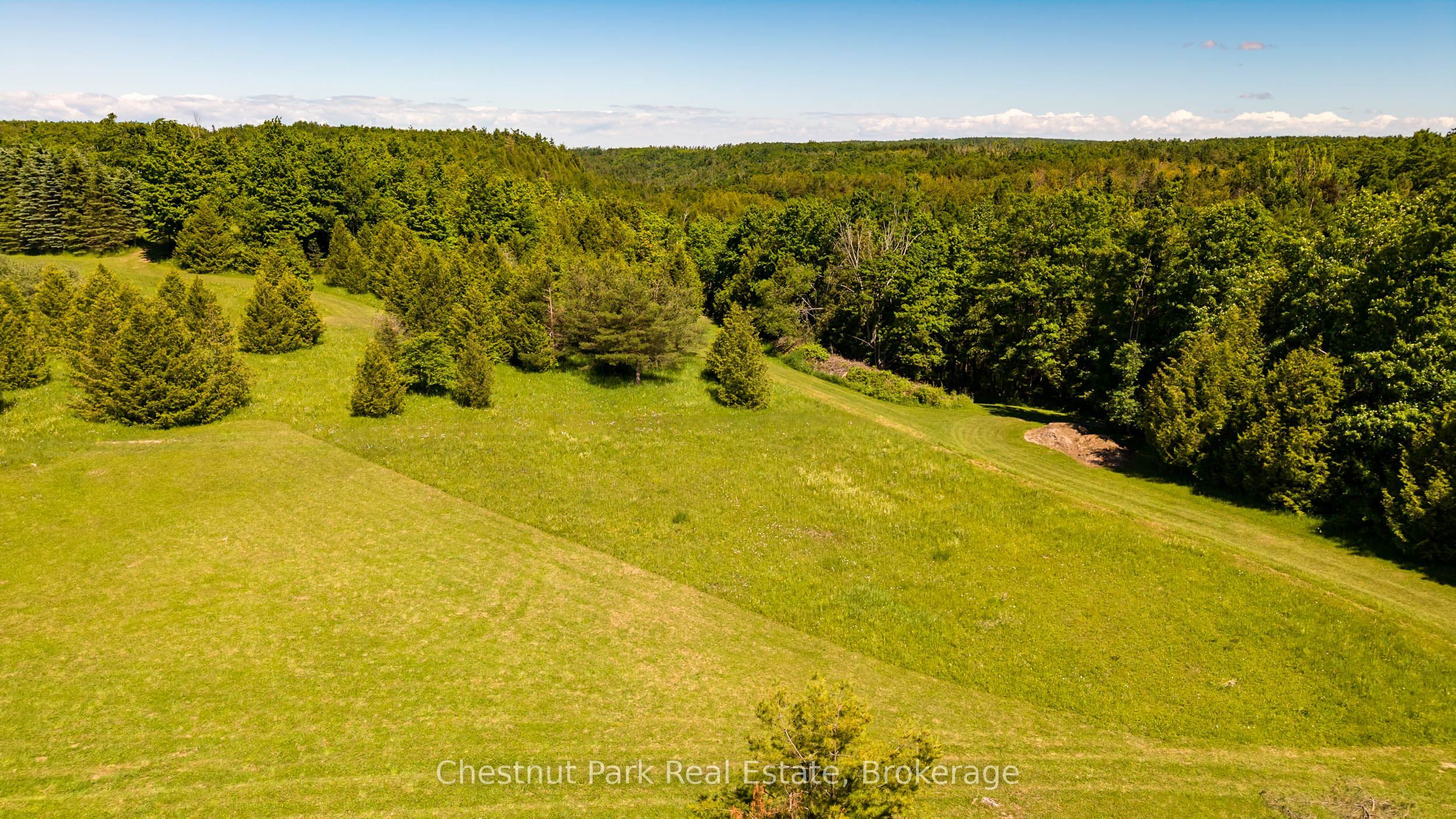 9420 Ewing Road, Clearview, ON N0C 1M0 photo 3