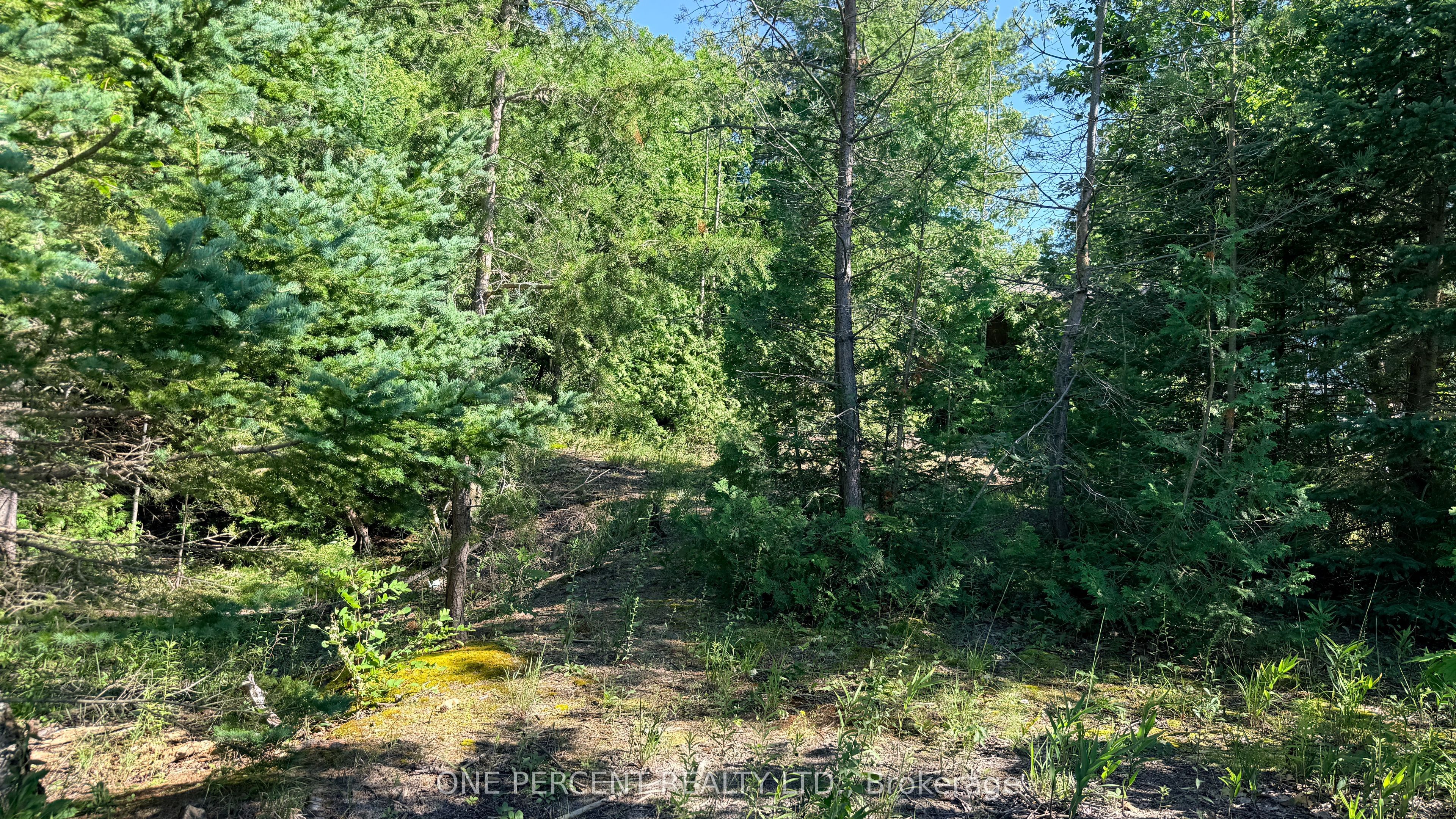 1554 Shore Lane, Wasaga Beach, ON L9Z 1W3 photo 3
