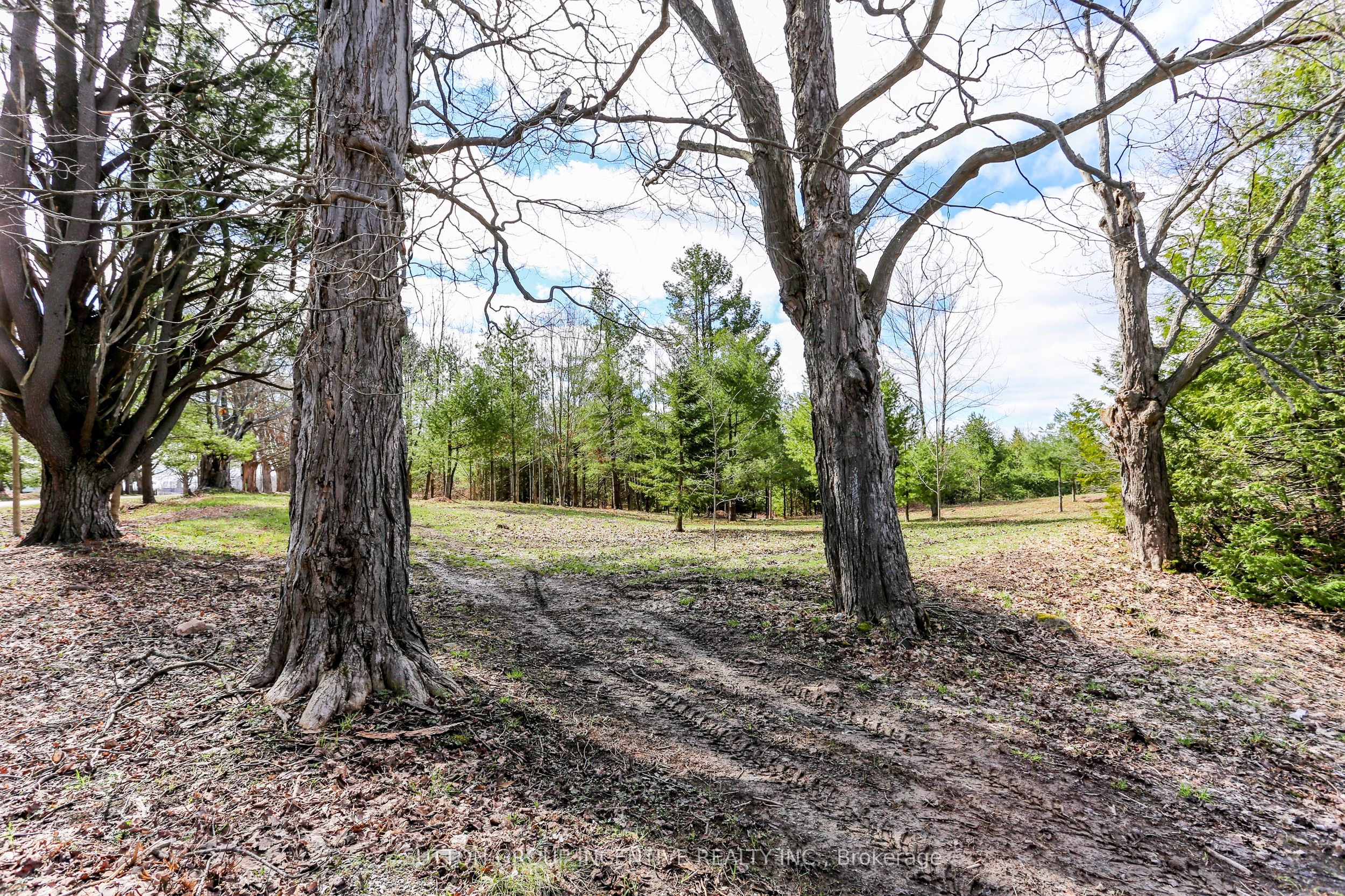 2790 Old Second Road S, Springwater, ON L9X 1P6 photo 5