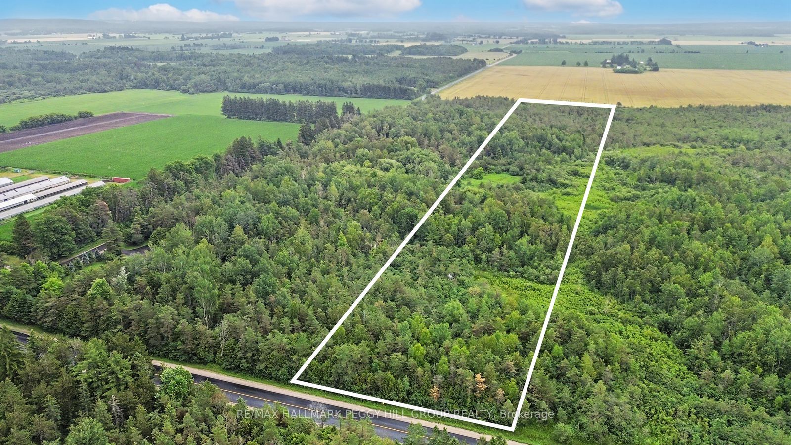 1659 County Road 92, Springwater, ON L0L 1P0