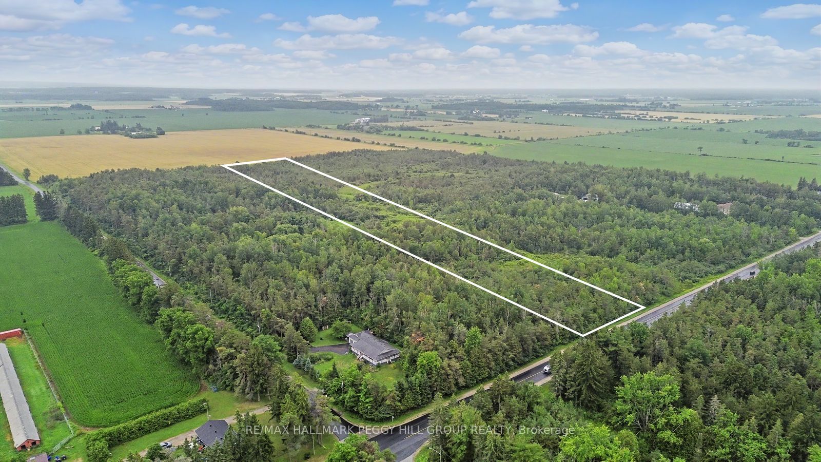 1659 County Road 92, Springwater, ON L0L 1P0 photo 2