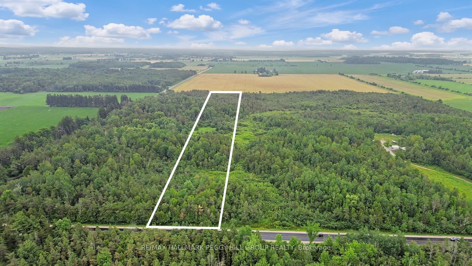 1659 County Road 92, Springwater, ON L0L 1P0 photo 3