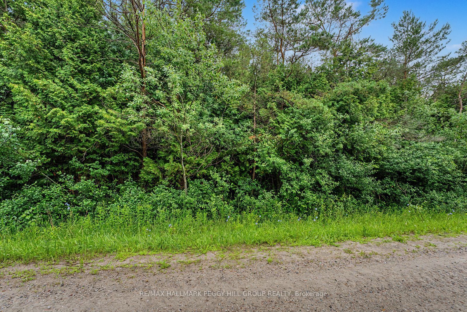 1659 County Road 92, Springwater, ON L0L 1P0 photo 4