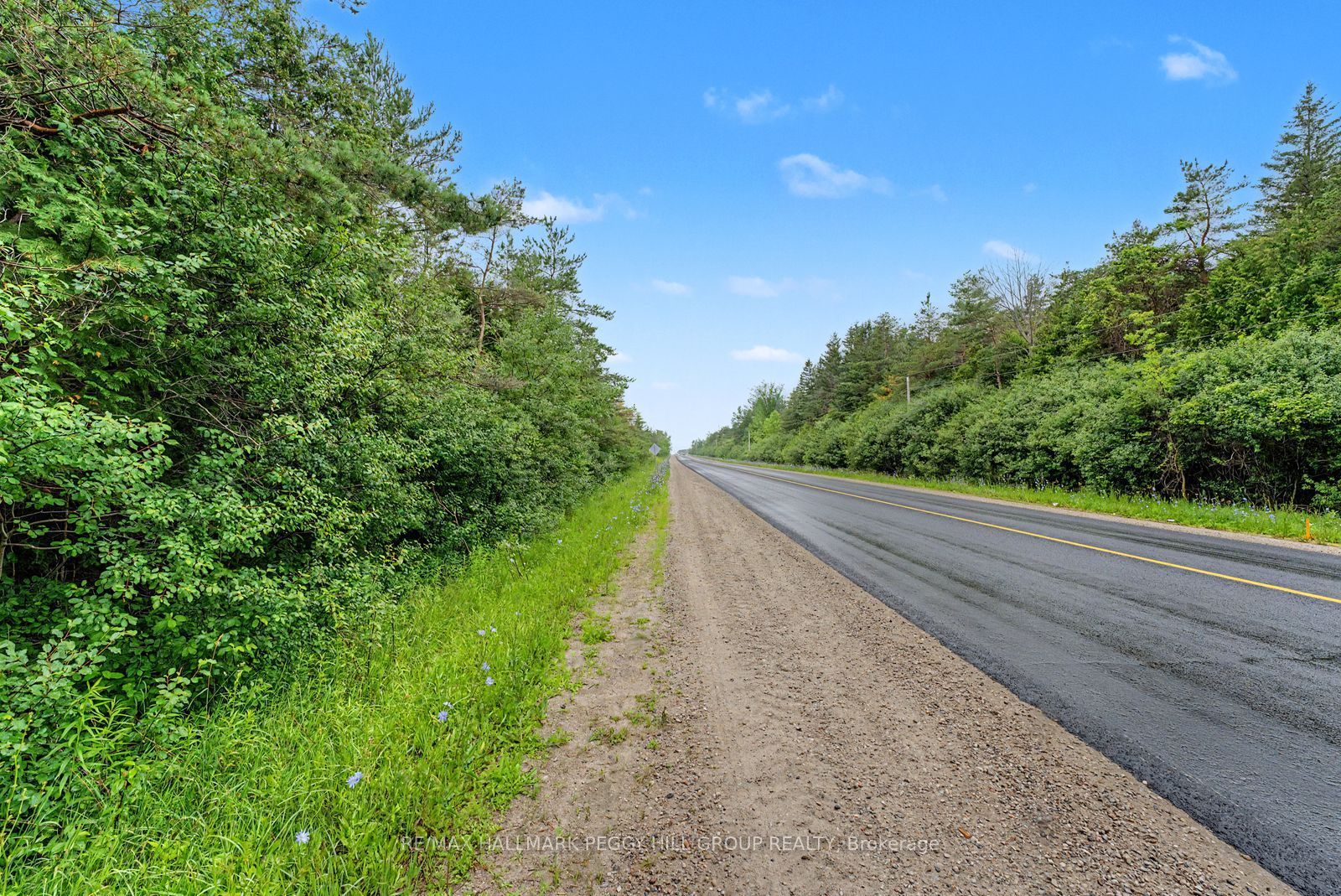 1659 County Road 92, Springwater, ON L0L 1P0 photo 5