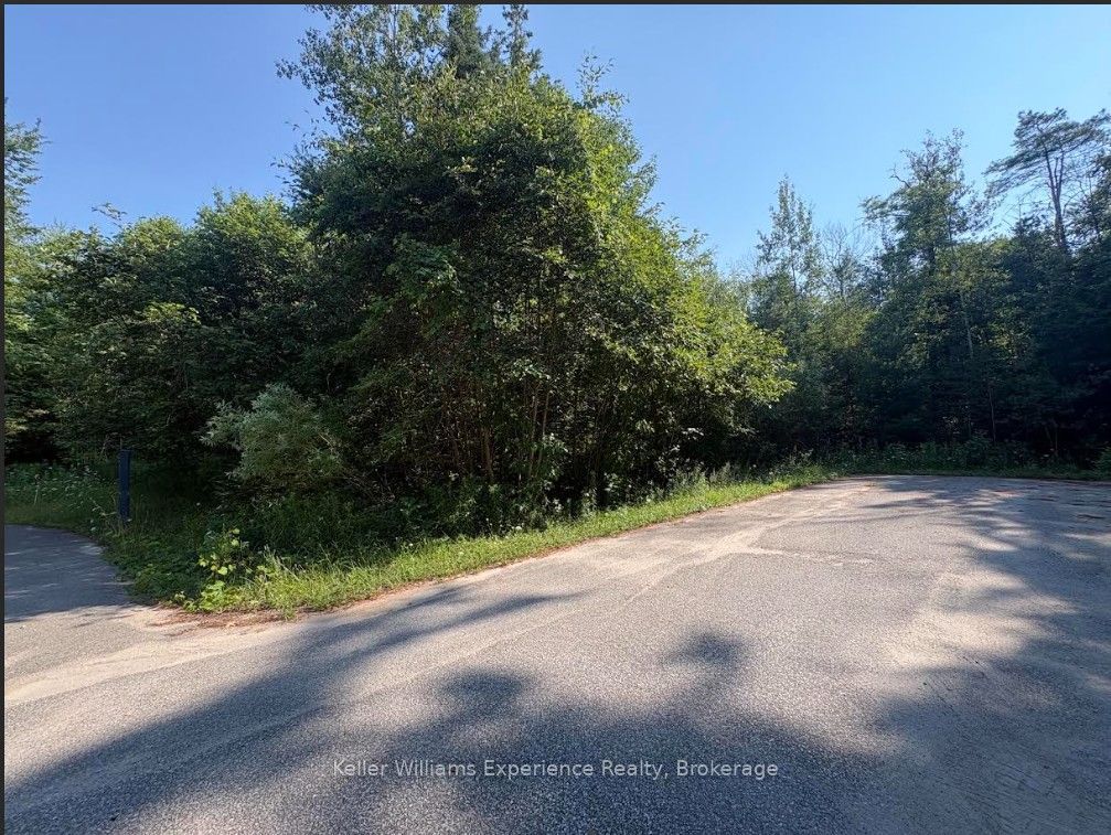 PTS1,2,3,4,5,6&751R35480 Rue Karola, Tiny, ON L0L 2J0 photo 3