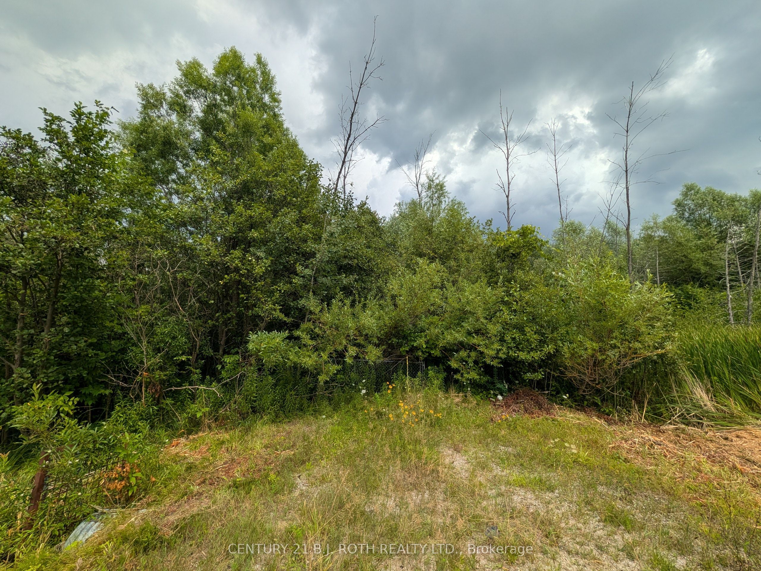 2361 George Johnston Road, Springwater, ON L0L 1Y0 photo 3