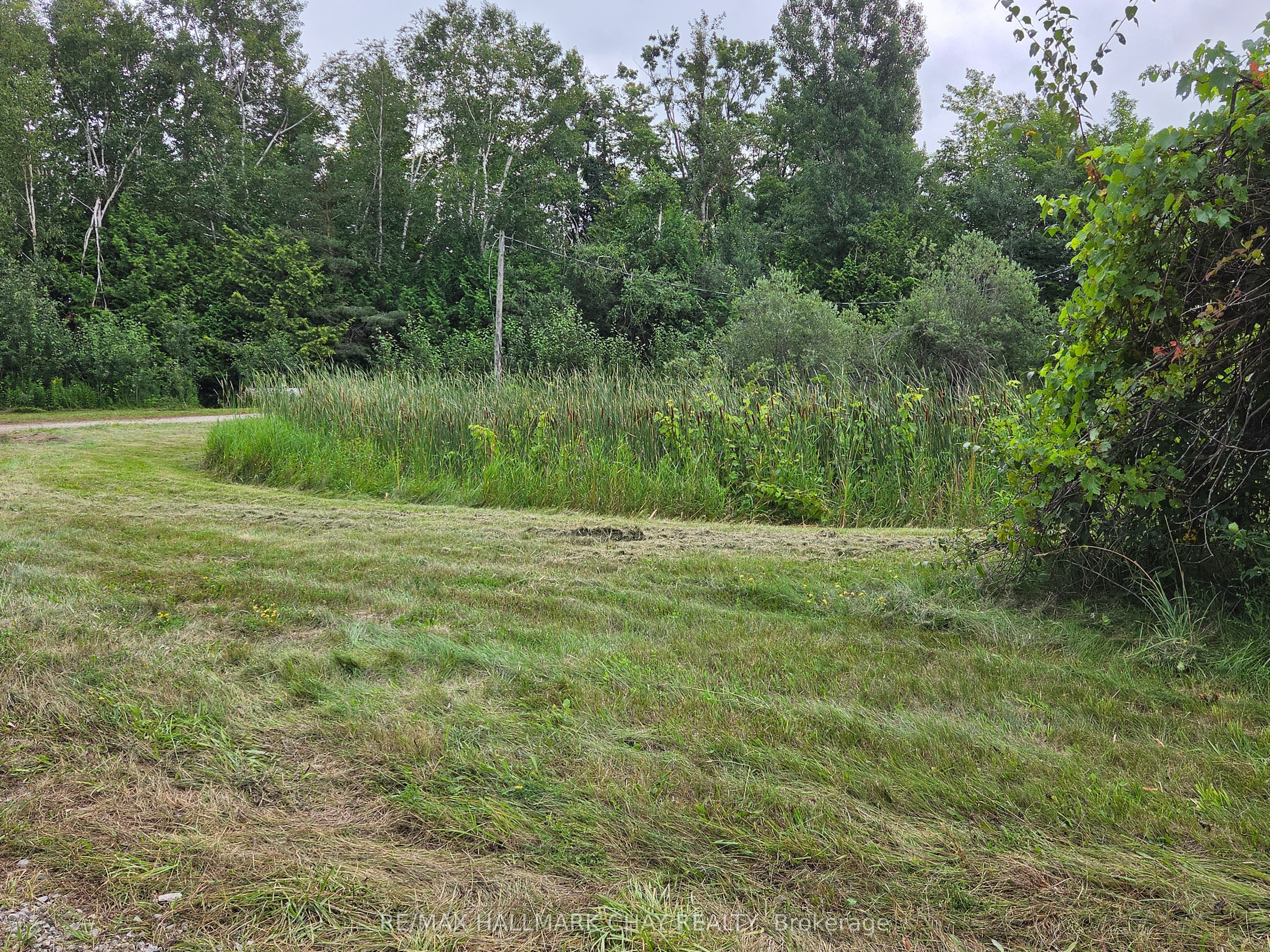 1017 Line 8 North Line, Oro-Medonte, ON L0L 2E0 photo 4