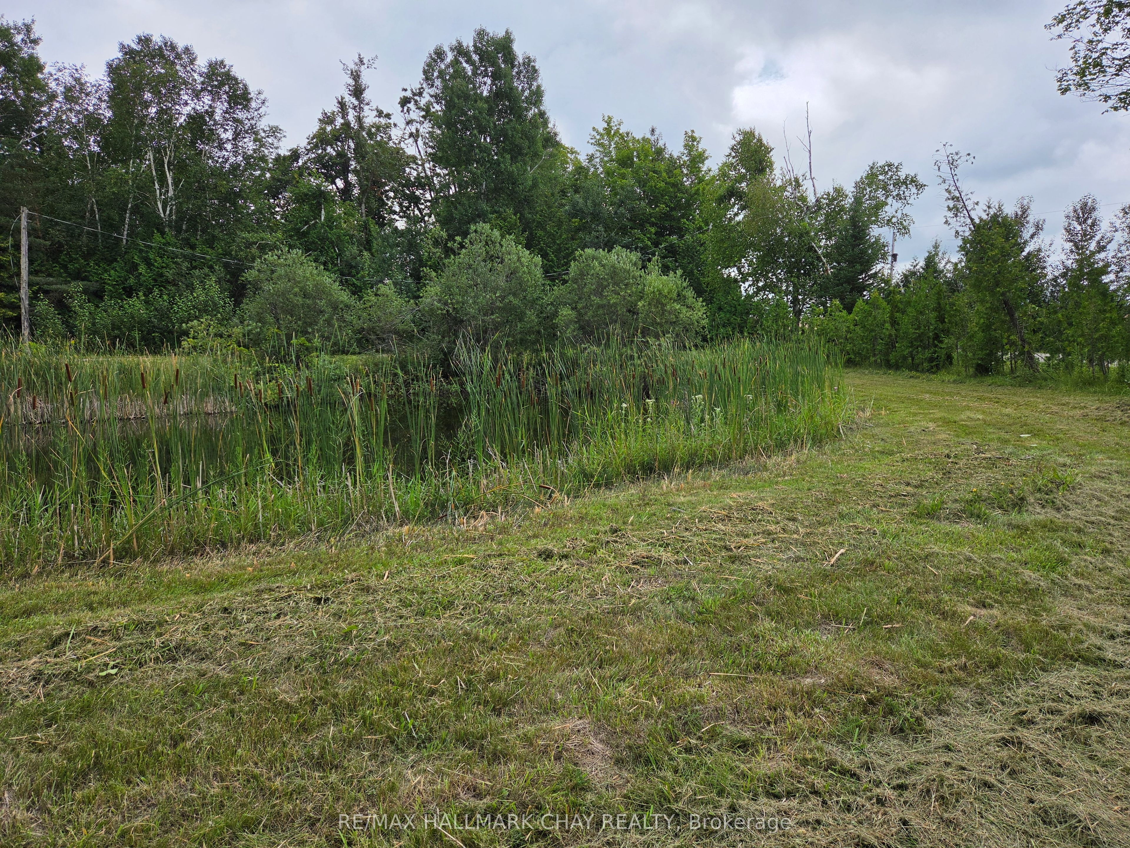 1017 Line 8 North Line, Oro-Medonte, ON L0L 2E0 photo 5