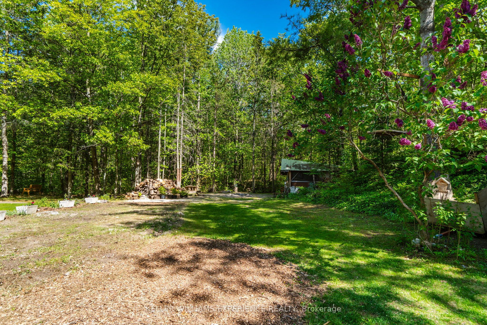 181 Park Road, Tiny, ON L0L 1P1 photo 5