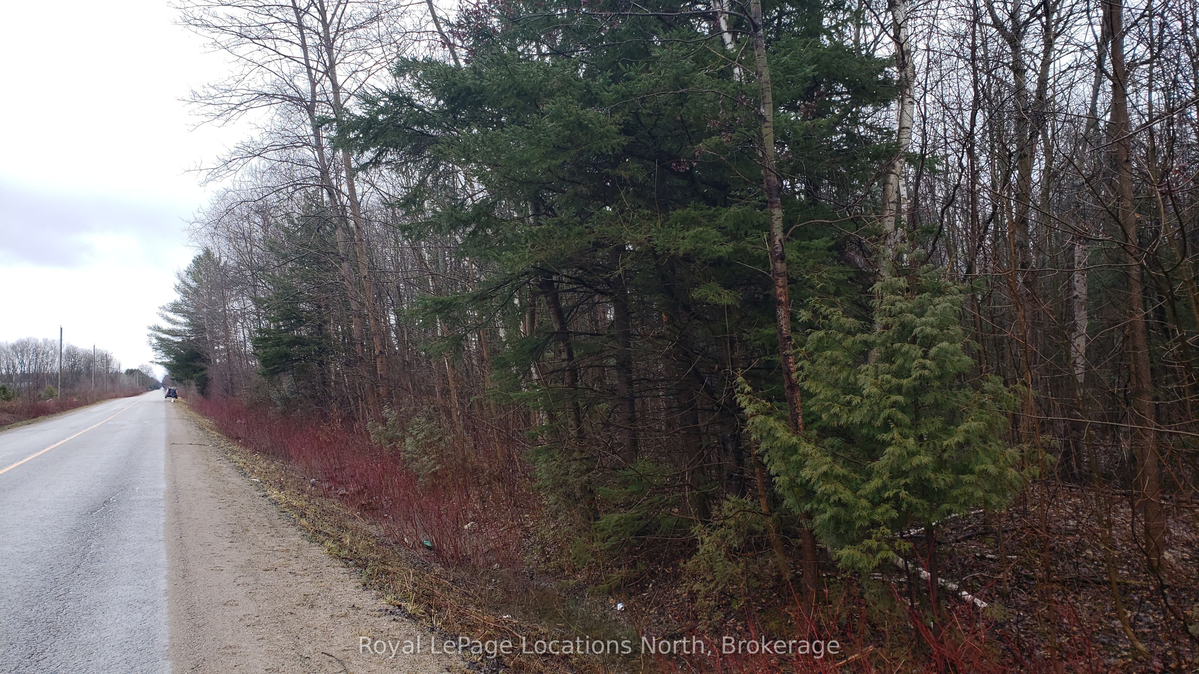 6125 Second Concession Road, Clearview, ON L0N 1P0 photo 2
