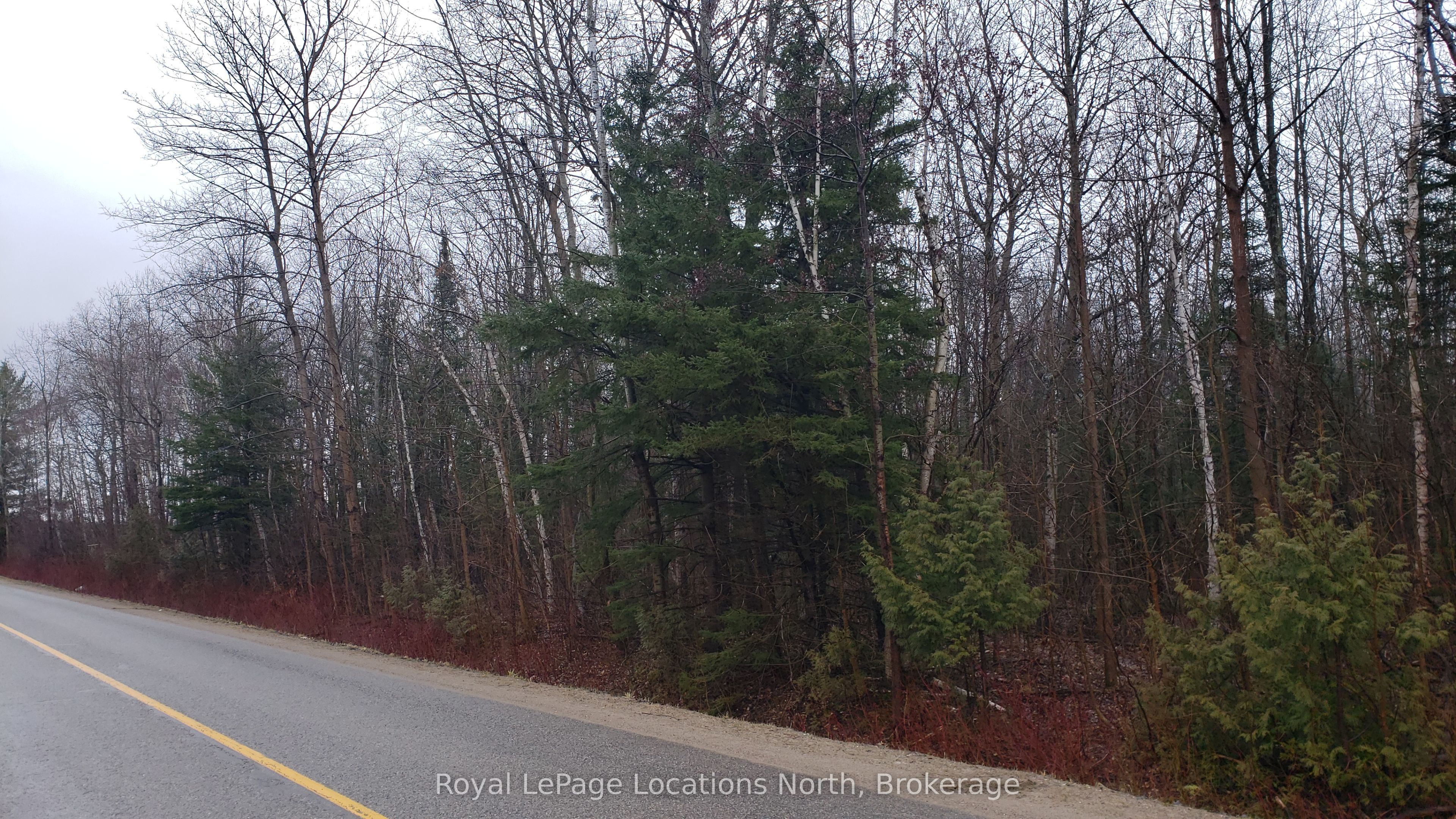 6125 Second Concession Road, Clearview, ON L0N 1P0 photo 3