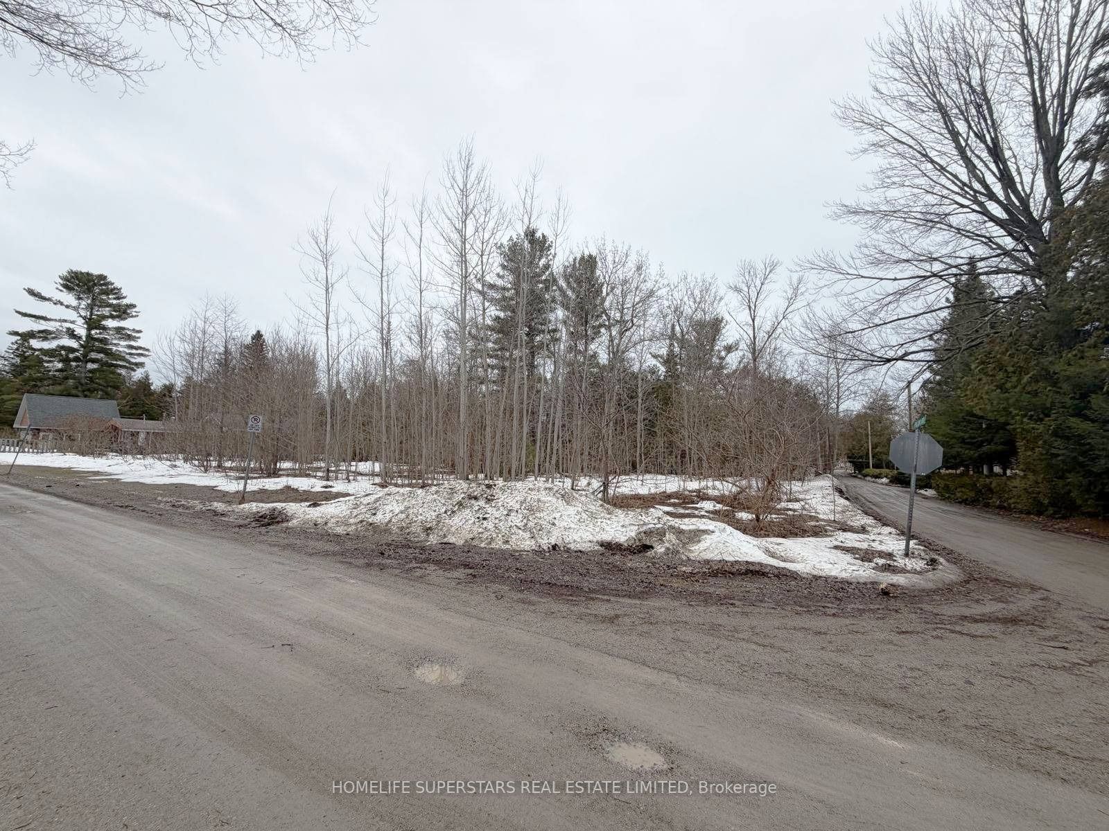 LT 147 PILON Road, Tiny, ON L0L 2J0 photo 4