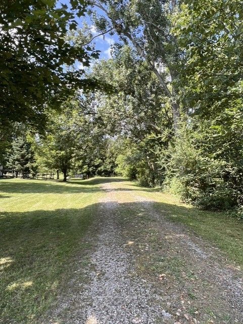 82 Mary Street, Clearview, ON L0M 1G0 photo 4