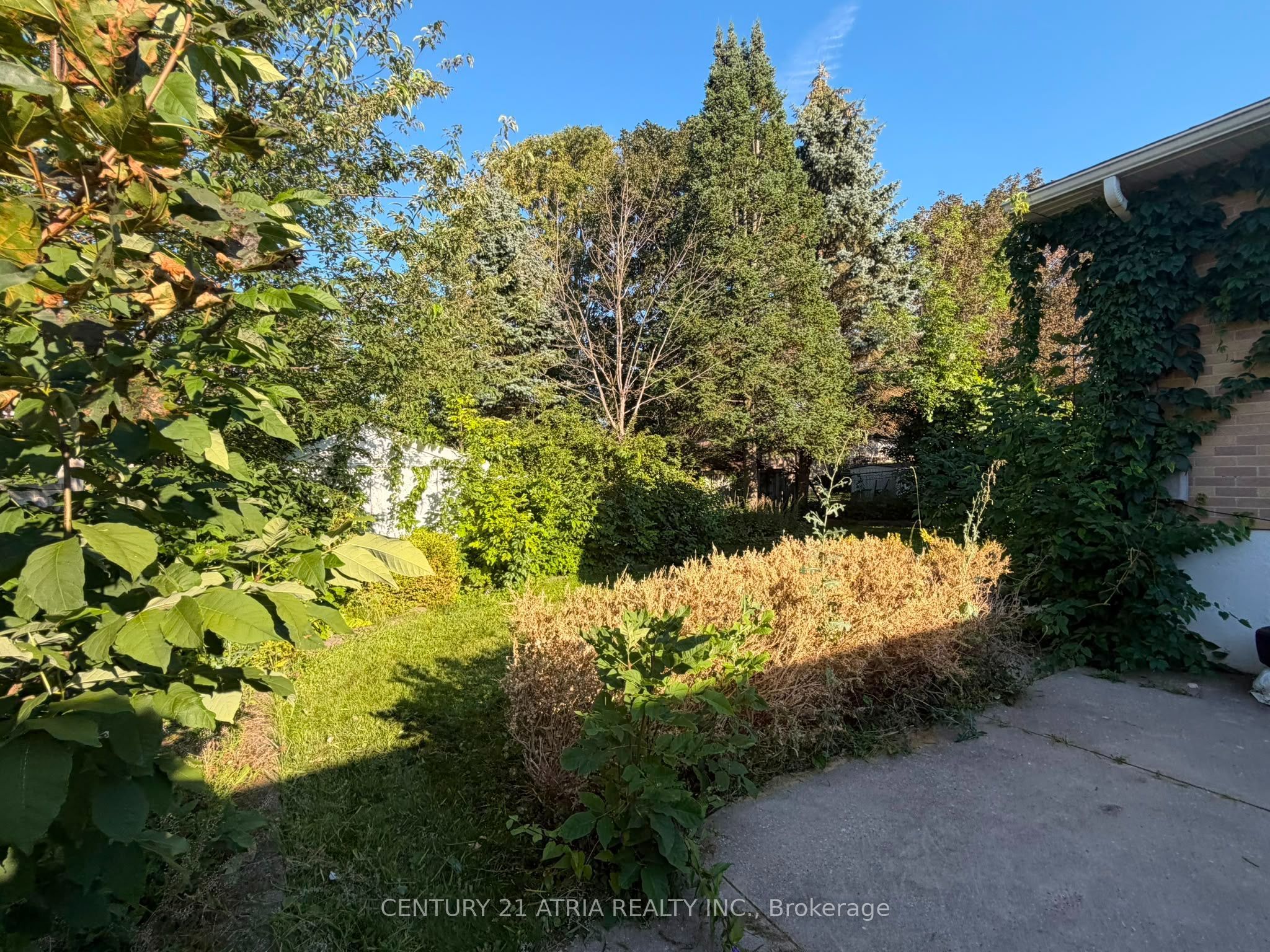 76 Bernick Drive Lower, Barrie, ON L4M 2V6 photo 3