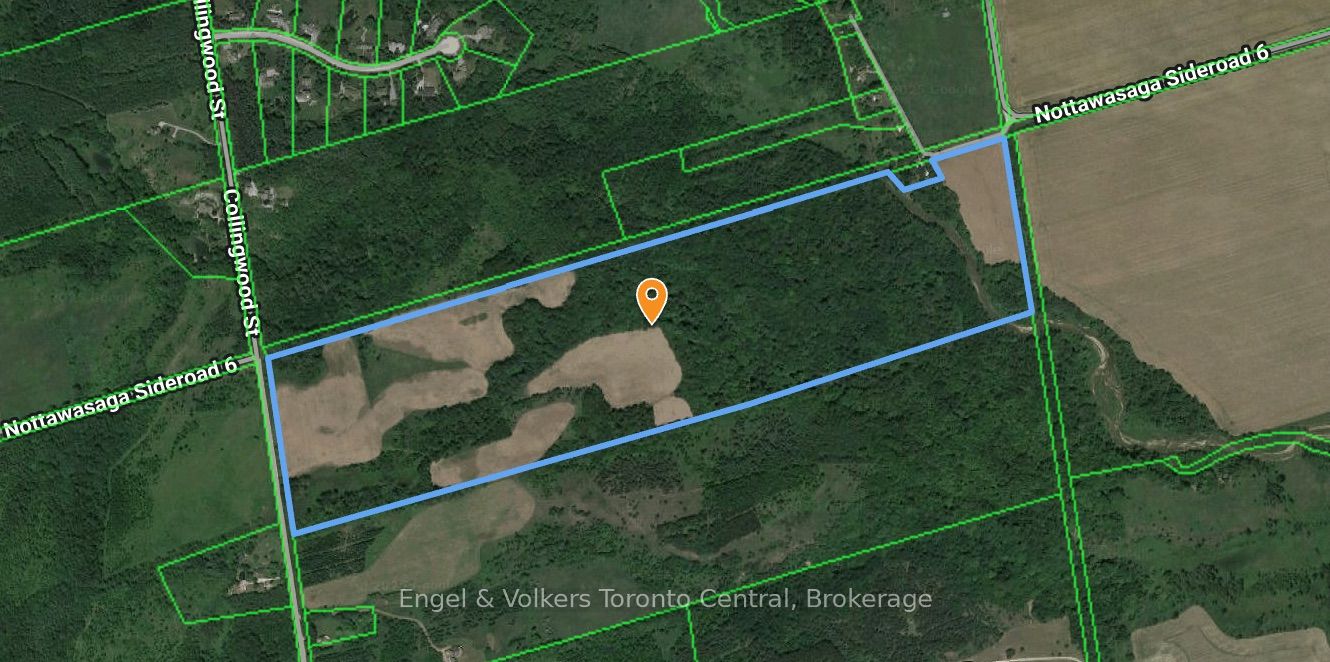 3237 Collingwood Street, Clearview, ON L0M 1G0 photo 3