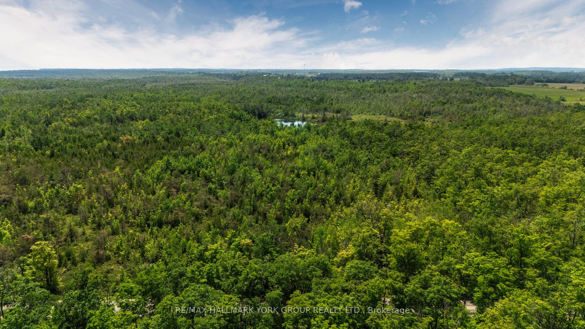 600 14TH LINE SOUTH, Oro-Medonte, ON L3V 6H1 photo 5