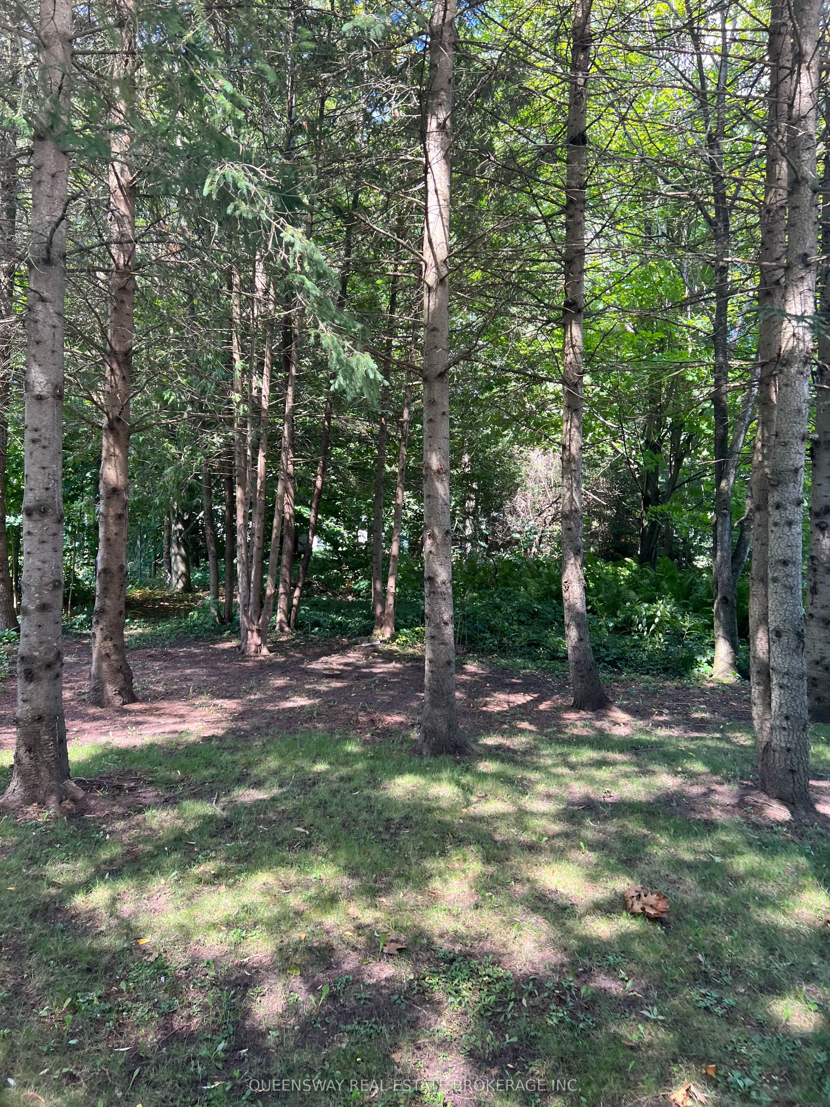 10 Mill Street W, Springwater, ON L0L 1V0 photo 3