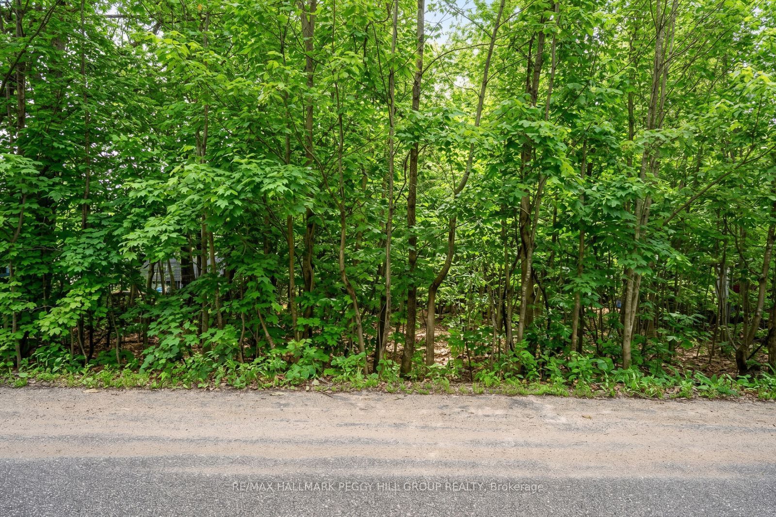17 Valleyview Drive, Oro-Medonte, ON L0K 1N0 photo 3