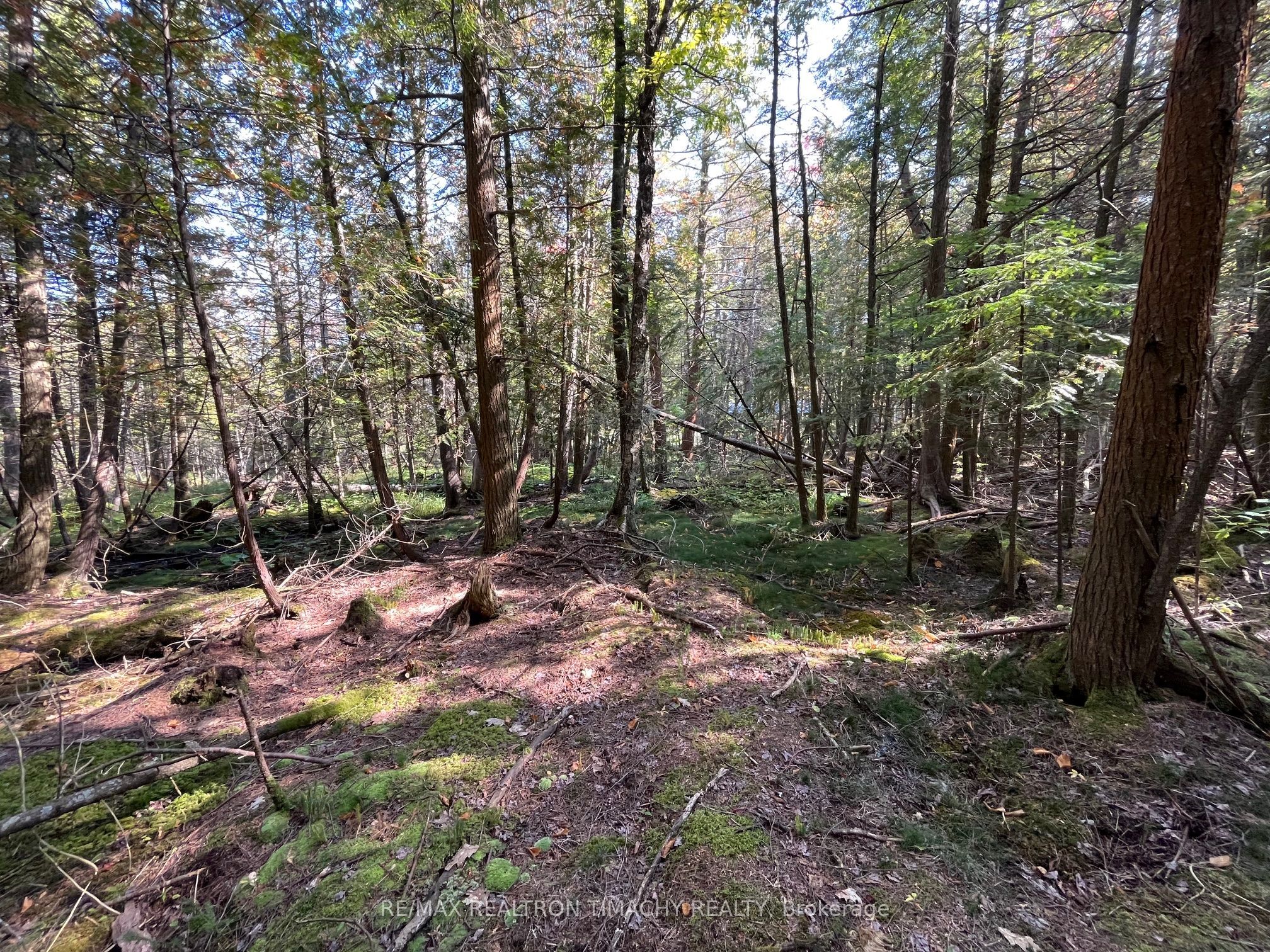 Lot 25 Champlain Road, Tiny, ON L9M 0C3