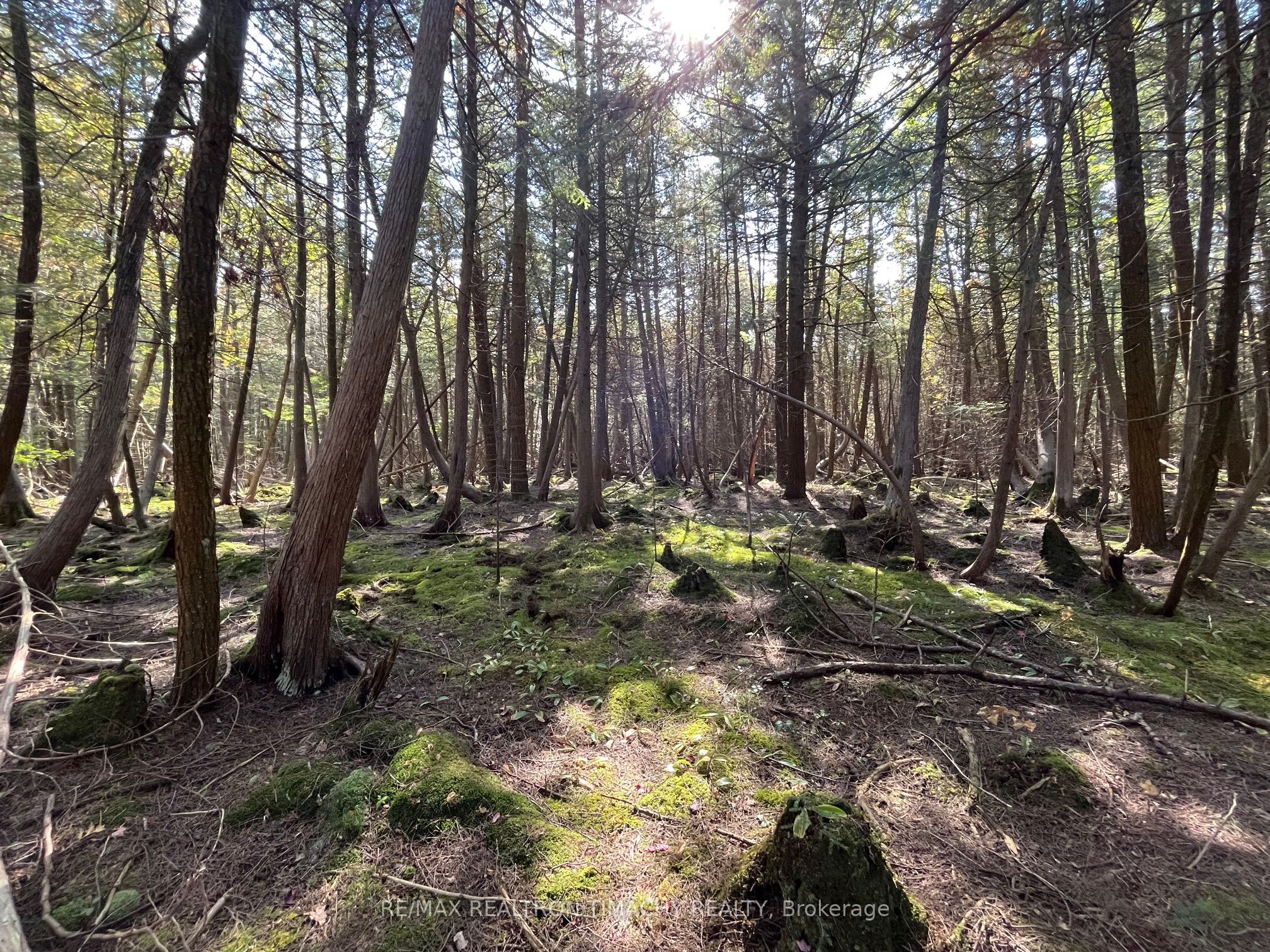 Lot 25 Champlain Road, Tiny, ON L9M 0C3 photo 2