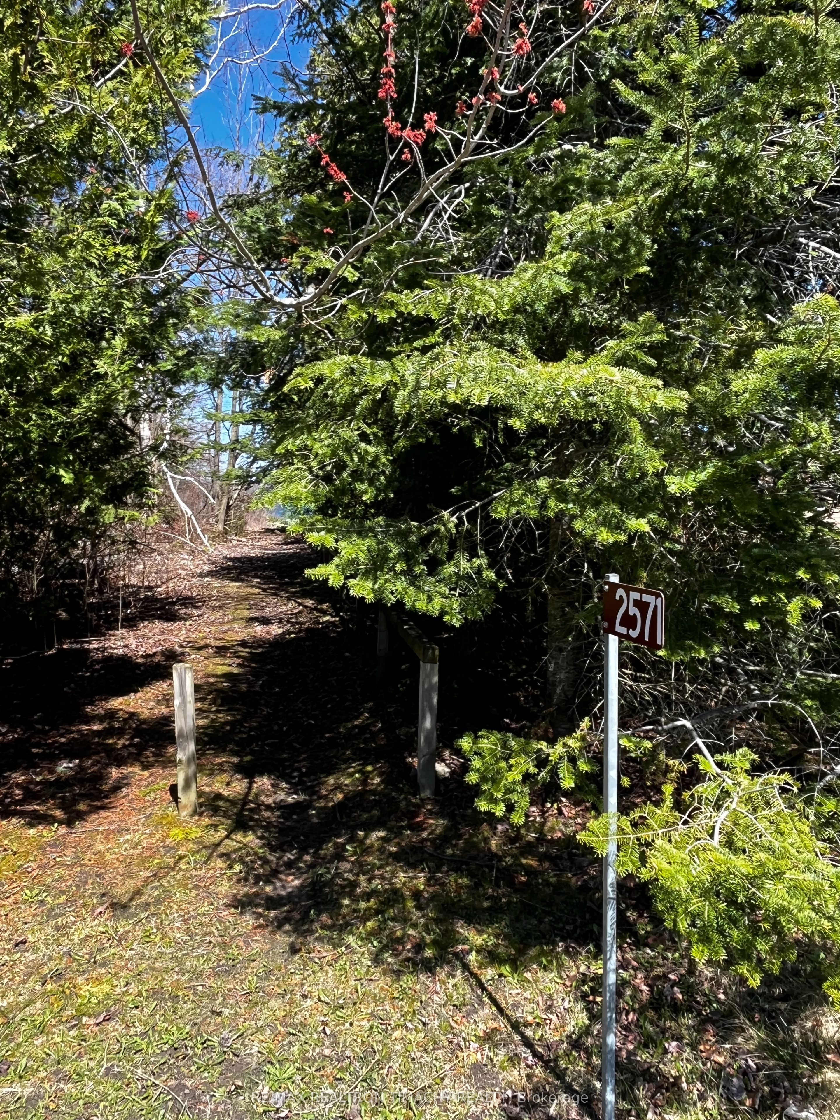 Lot 25 Champlain Road, Tiny, ON L9M 0C3 photo 4