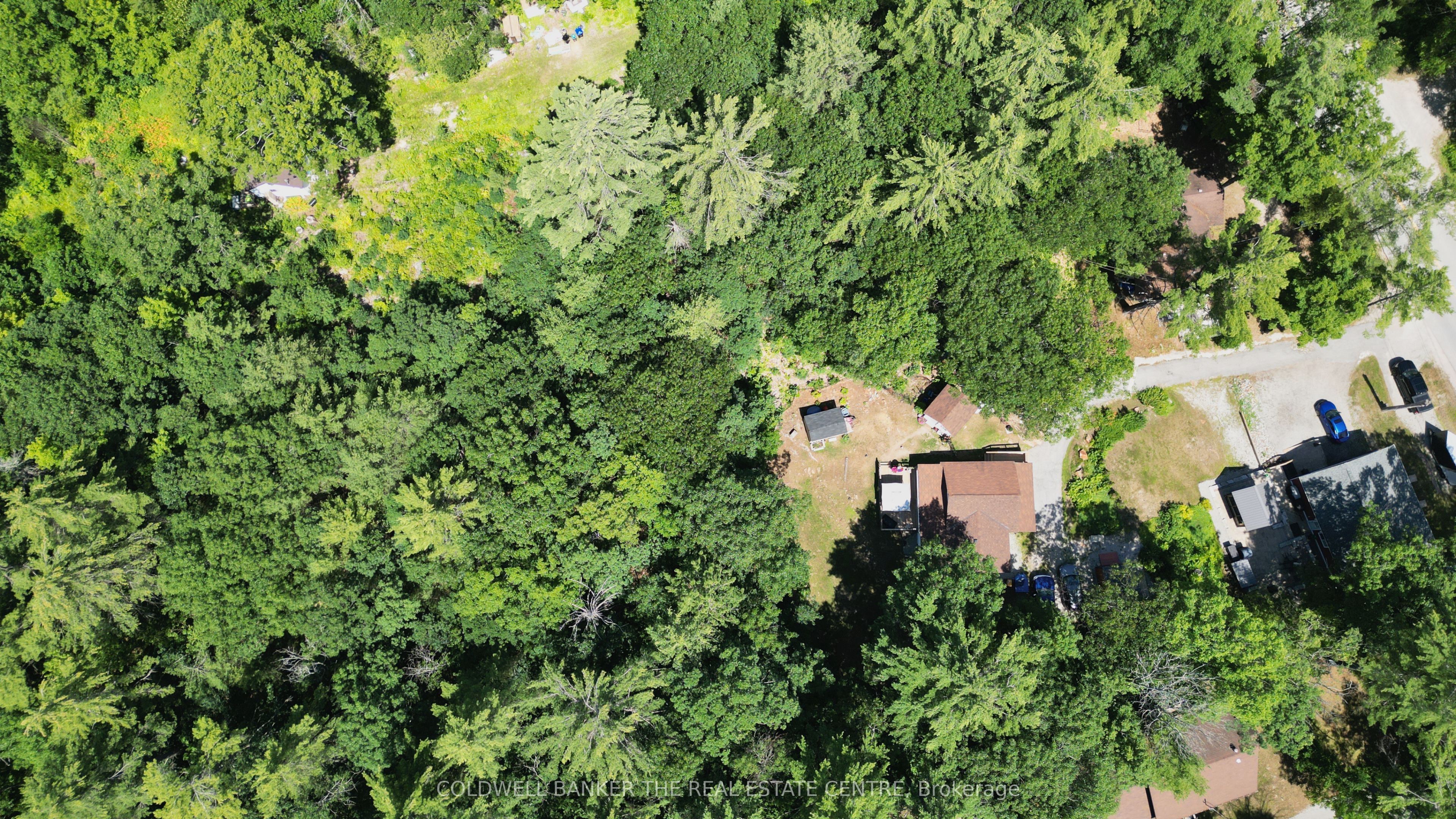 5594 Upper Big Chute Road, Severn, ON L0K 1E0 photo 4