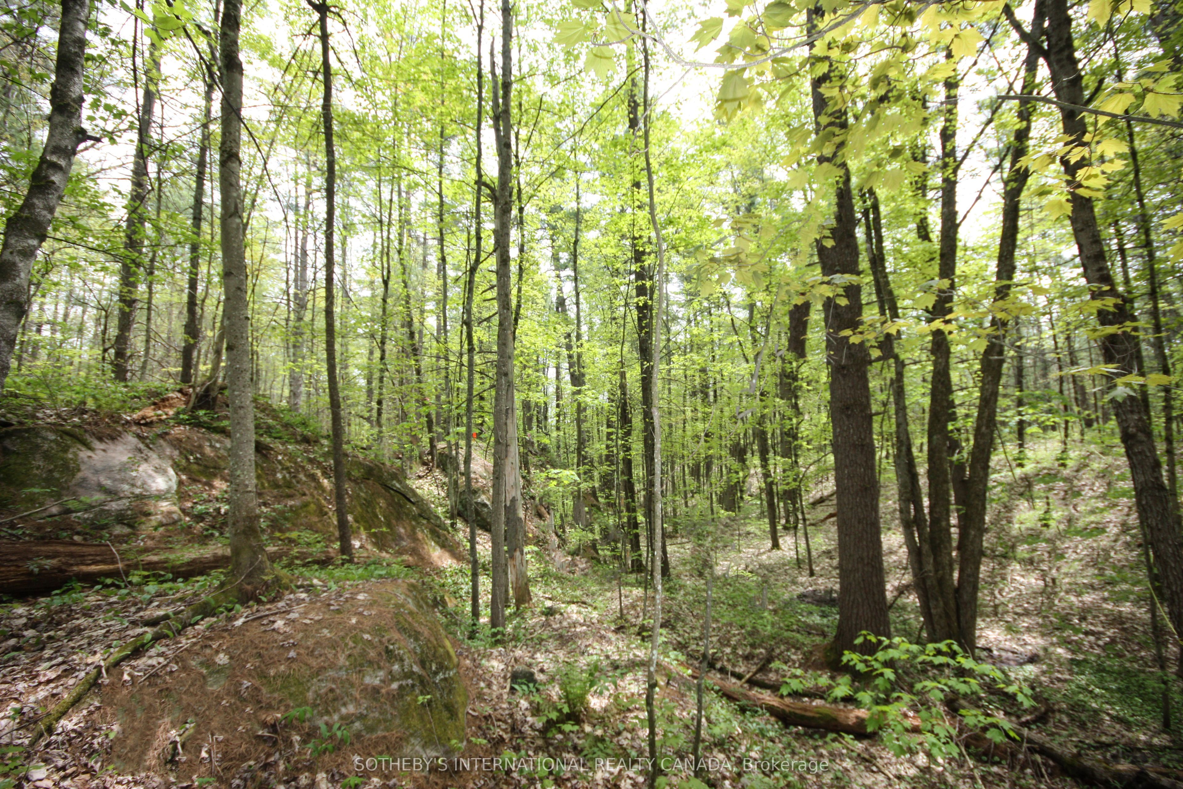 3197 Severn River Road, Severn, ON K0K 1E0 photo 5