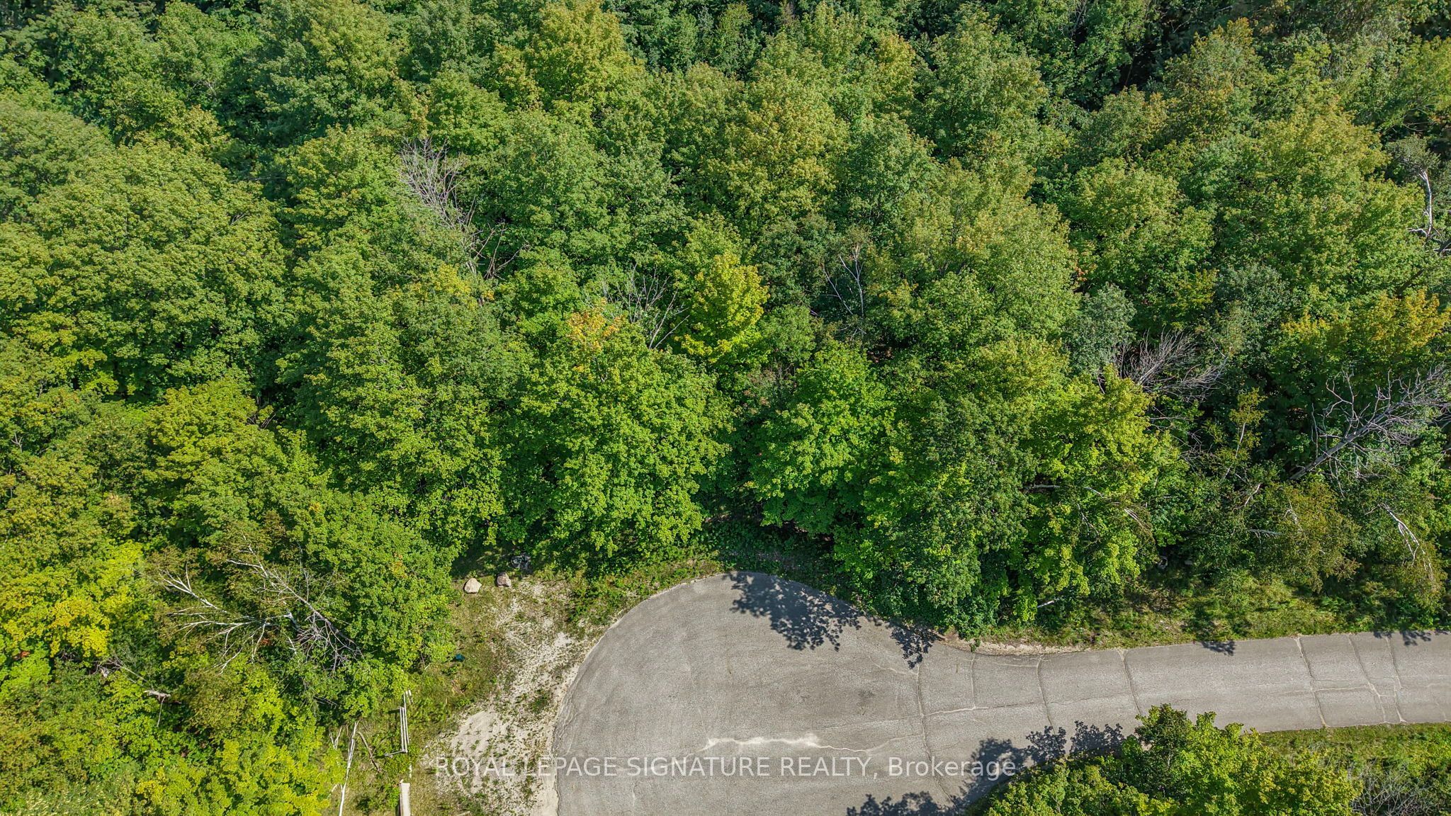 13 Windfields Drive, Oro-Medonte, ON L0L 2E0 photo 5