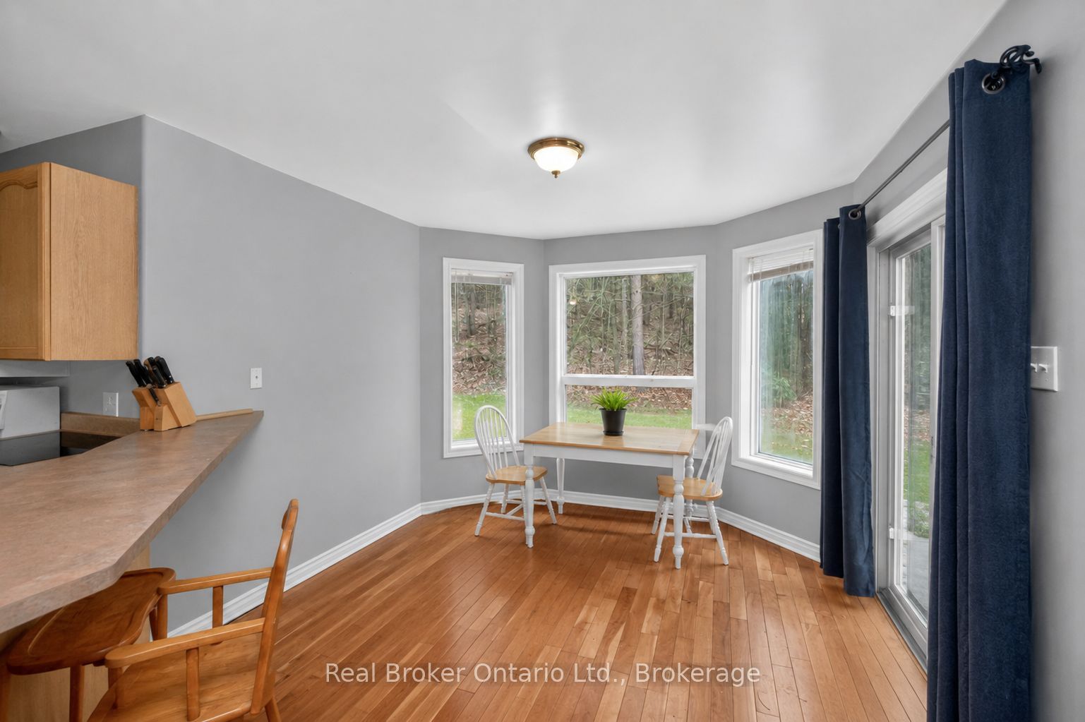 11 Campbell Court, Springwater, ON L0L 1V0 photo 5