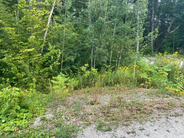 7859 Pineridge Road, Ramara, ON L0K 2B0 photo 2