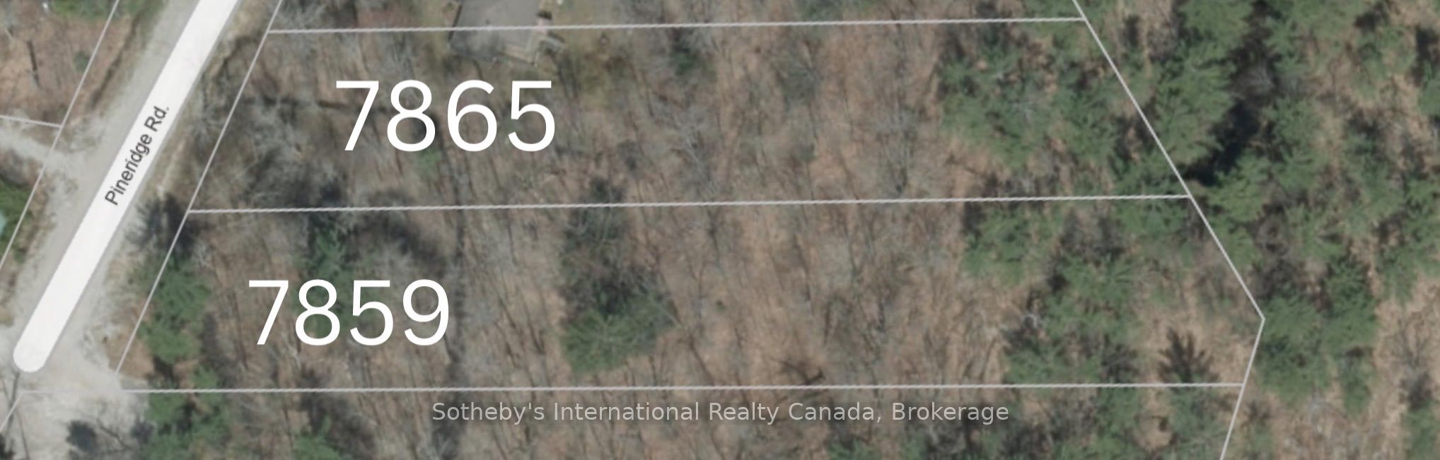 7859 Pineridge Road, Ramara, ON L0K 2B0 photo 4