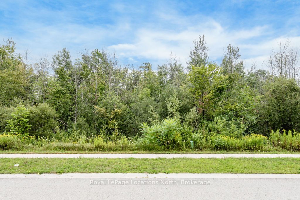 Part Lot 25 (Part 2) ROBINSON Road, Wasaga Beach, ON L9Z 2Z4 photo 3