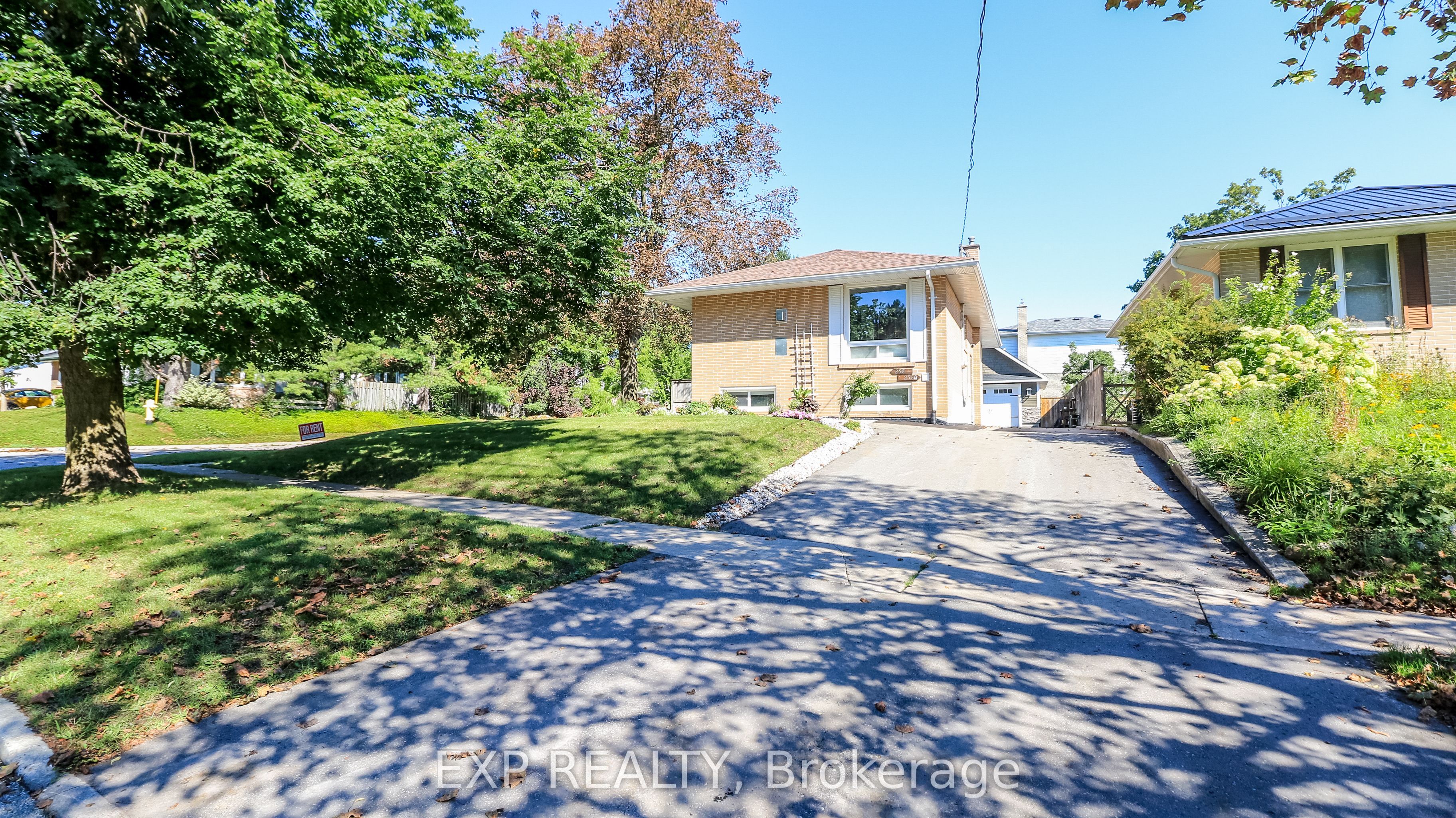 258 Napier Street Basement, Barrie, ON L4M 1X7 photo 3