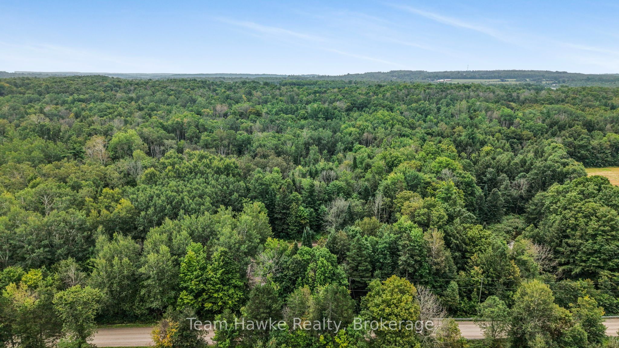 5493 Mcmann Side Road, Tay, ON L0K 2E0 photo 4