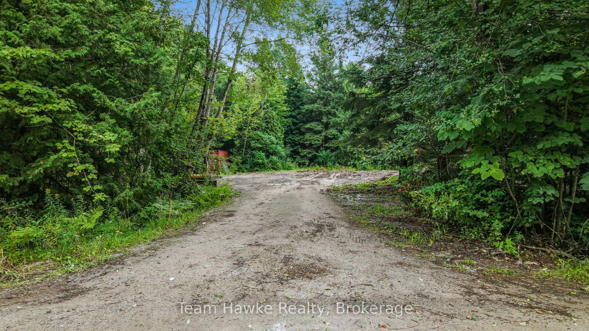 5493 Mcmann Side Road, Tay, ON L0K 2E0 photo 5