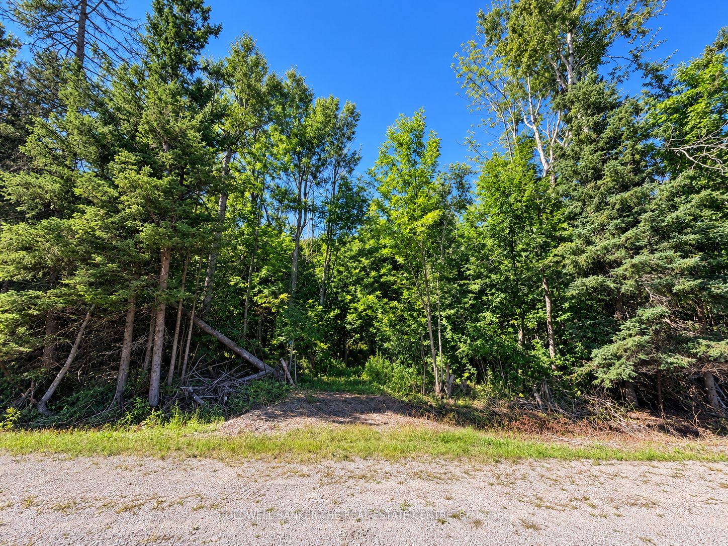 4896 Penetanguishene Road, Springwater, ON L0L 1V0