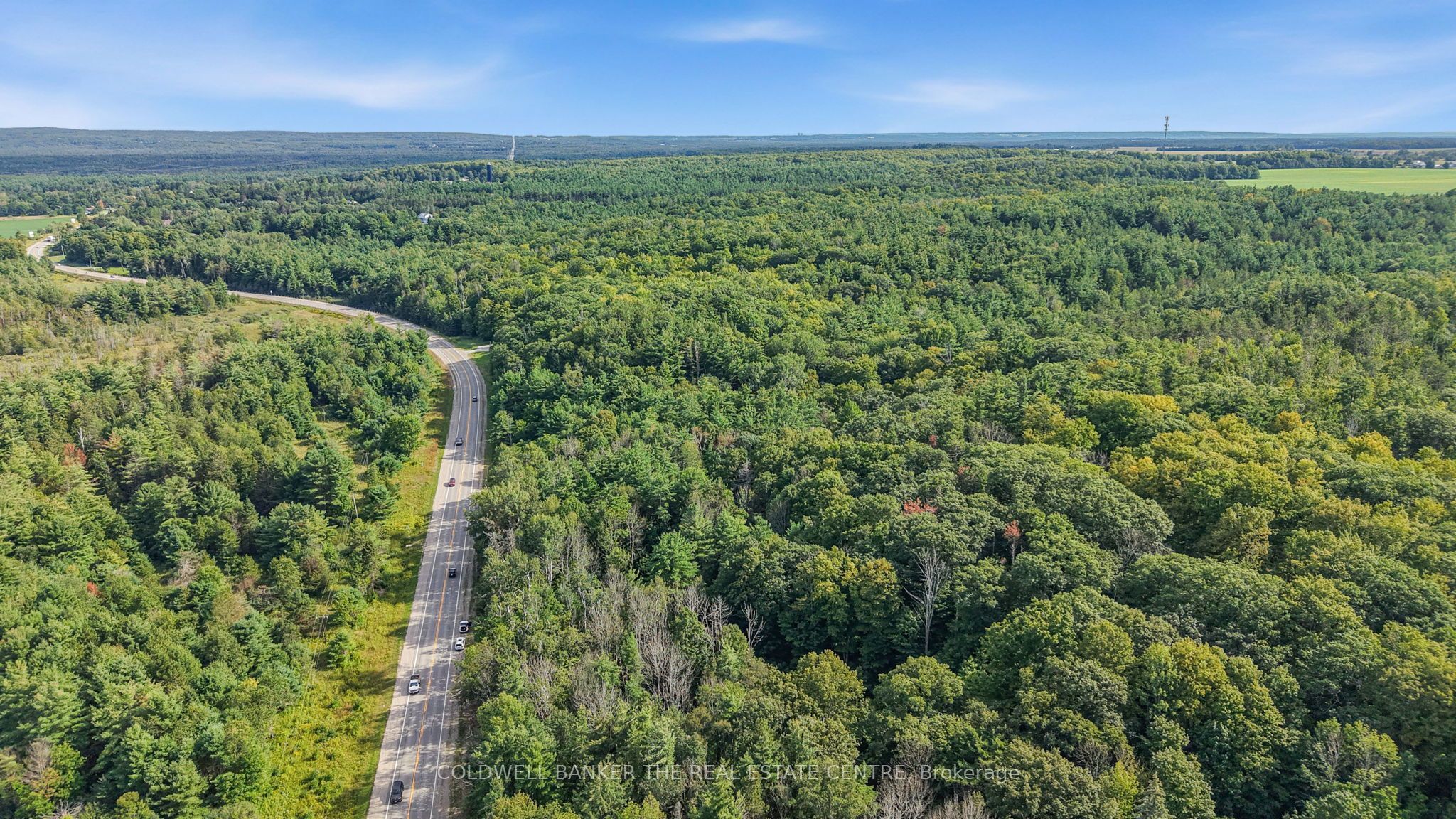 4896 Penetanguishene Road, Springwater, ON L0L 1V0 photo 4