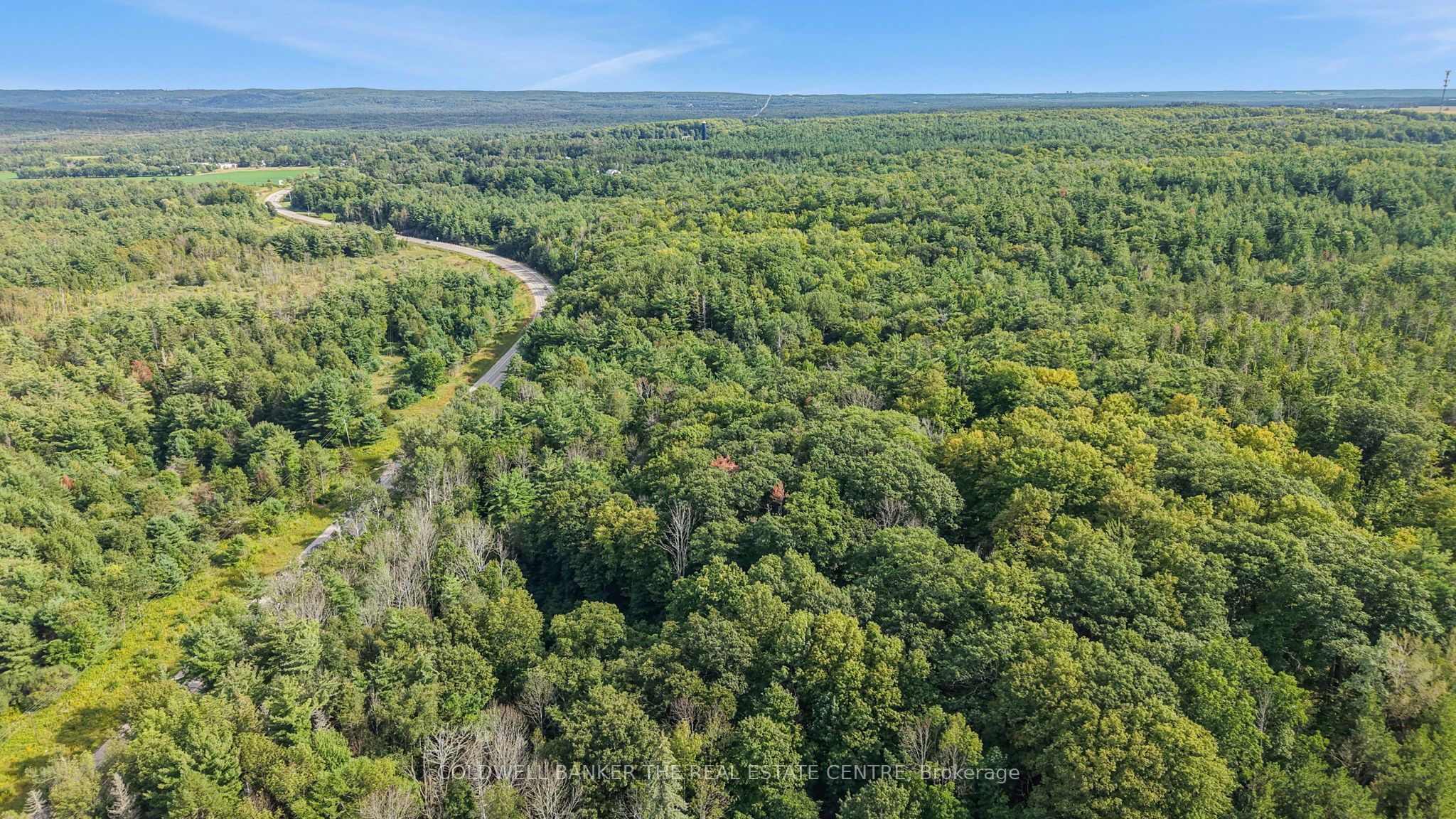 4896 Penetanguishene Road, Springwater, ON L0L 1V0 photo 5