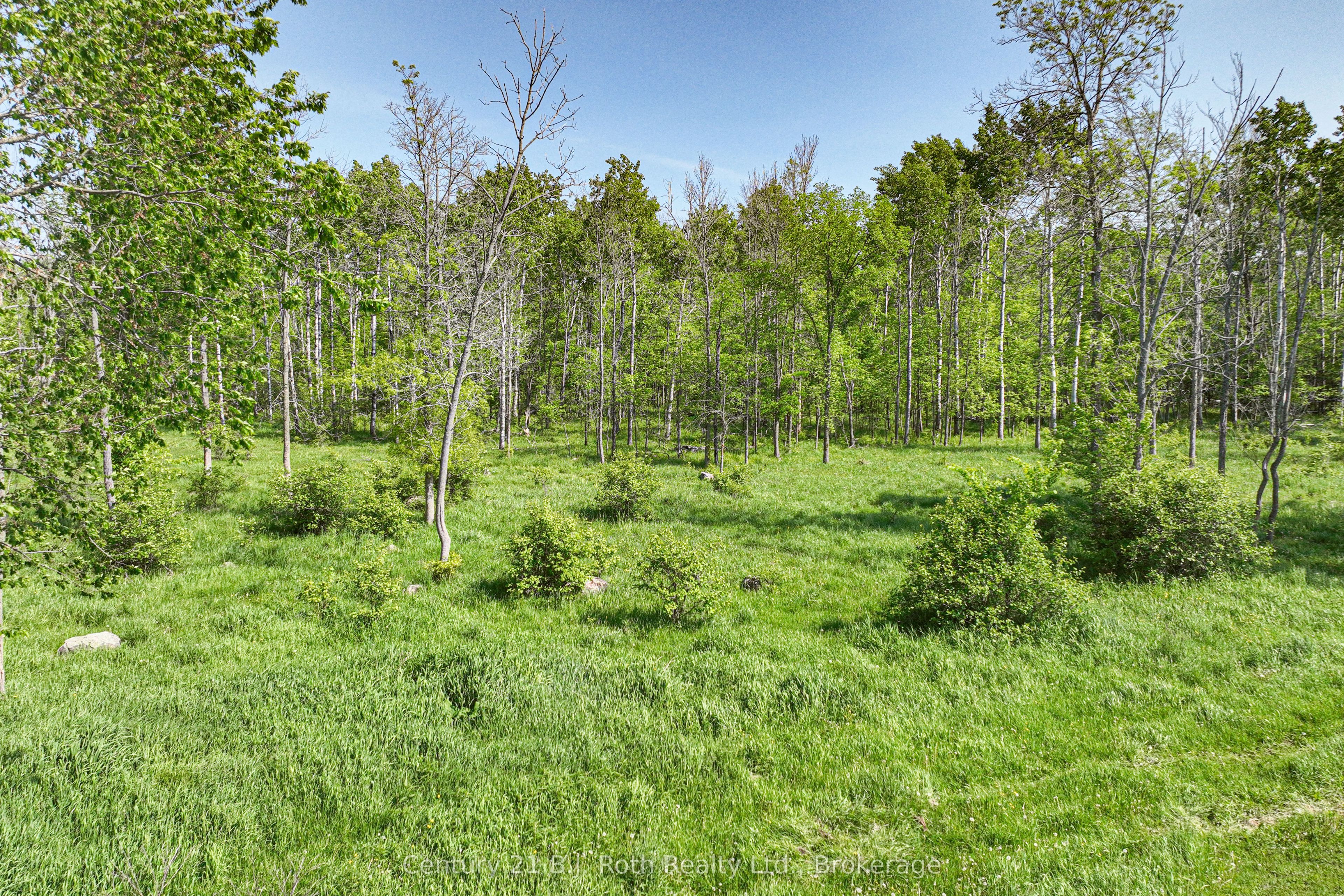 1579 Wainman Line, Severn, ON L0K 1E0 photo 5