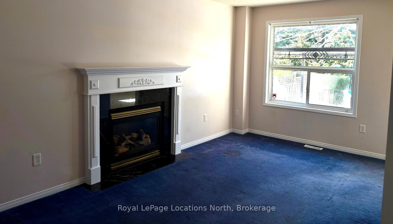 24 Merganser Court, Barrie, ON L4N 8W7 photo 4