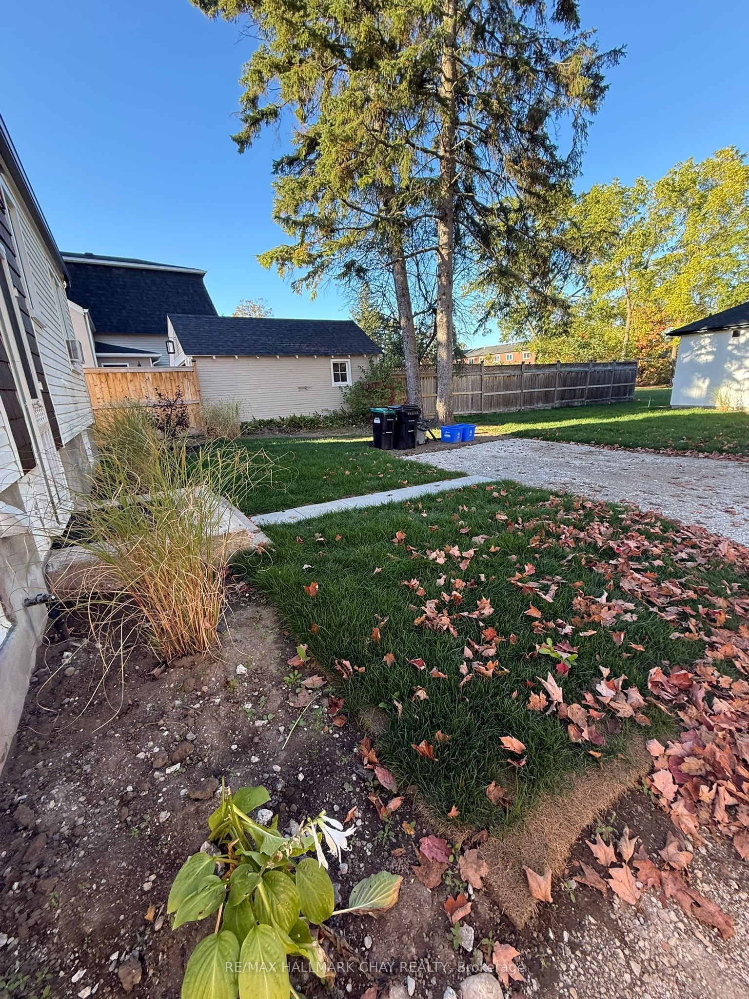 137 Clapperton Street, Barrie, ON L4M 3G3 photo 3